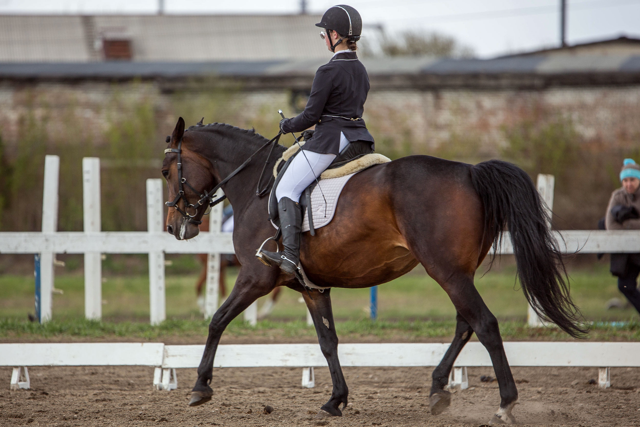 Соревнования 2022. Конный фотограф в Красноярске — Любовь Похабова