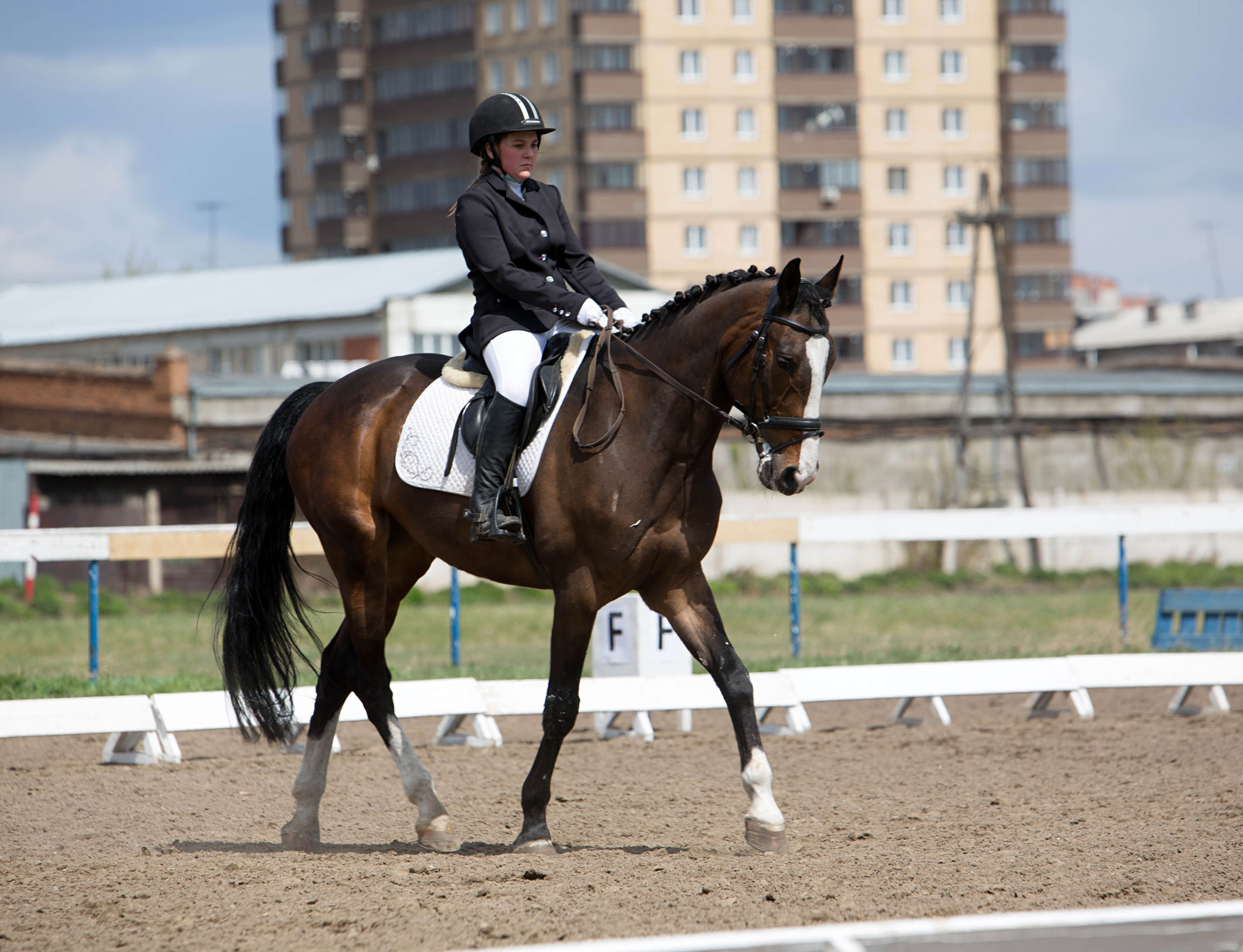 Соревнования 2022. Конный фотограф в Красноярске — Любовь Похабова