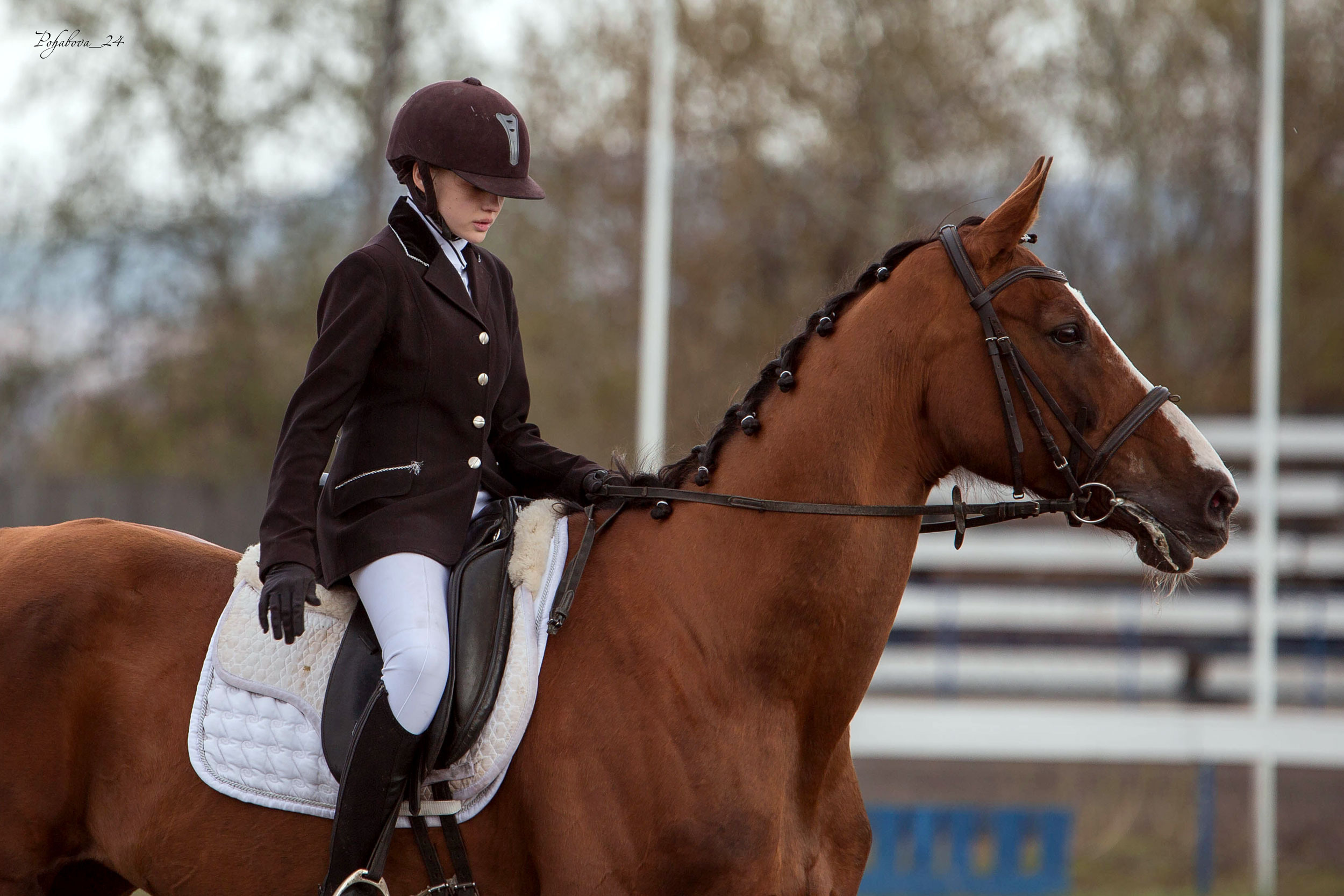 Соревнования 2022. Конный фотограф в Красноярске — Любовь Похабова