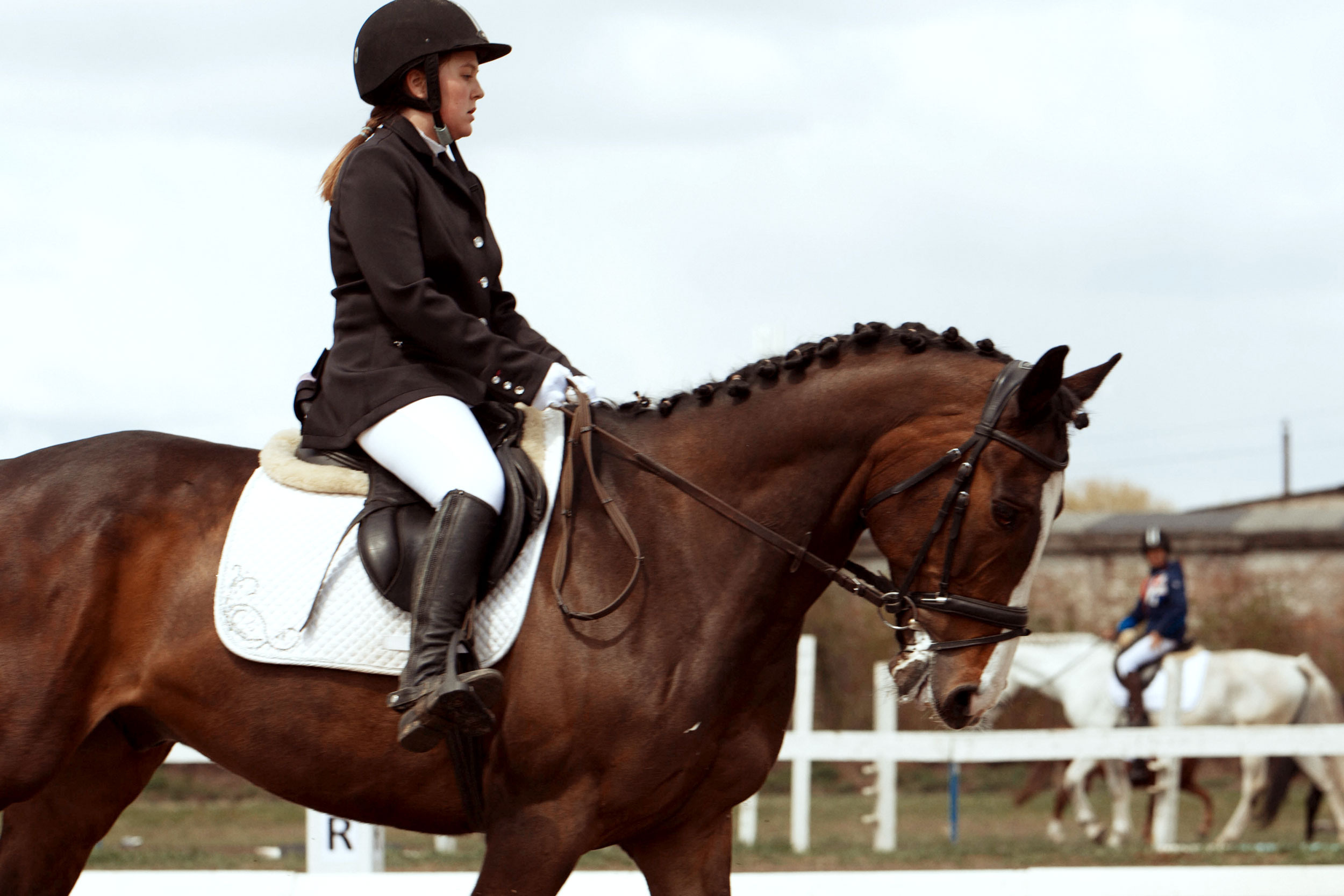 Соревнования 2022. Конный фотограф в Красноярске — Любовь Похабова