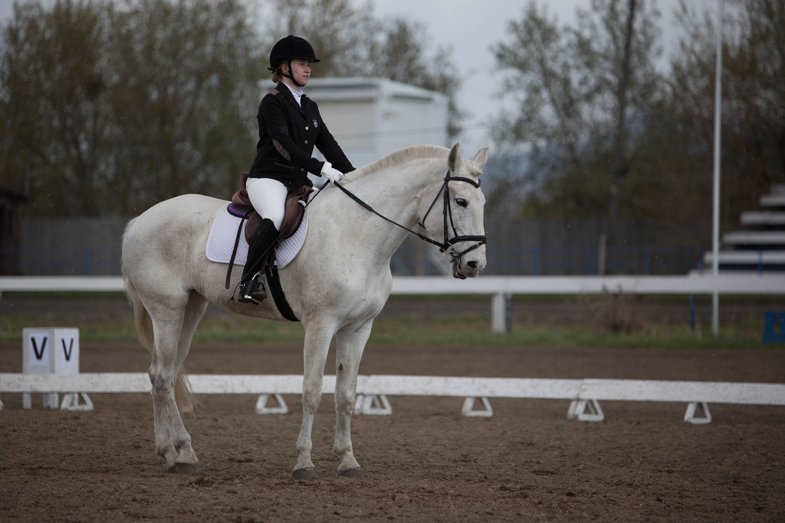 Соревнования 2022. Конный фотограф в Красноярске — Любовь Похабова