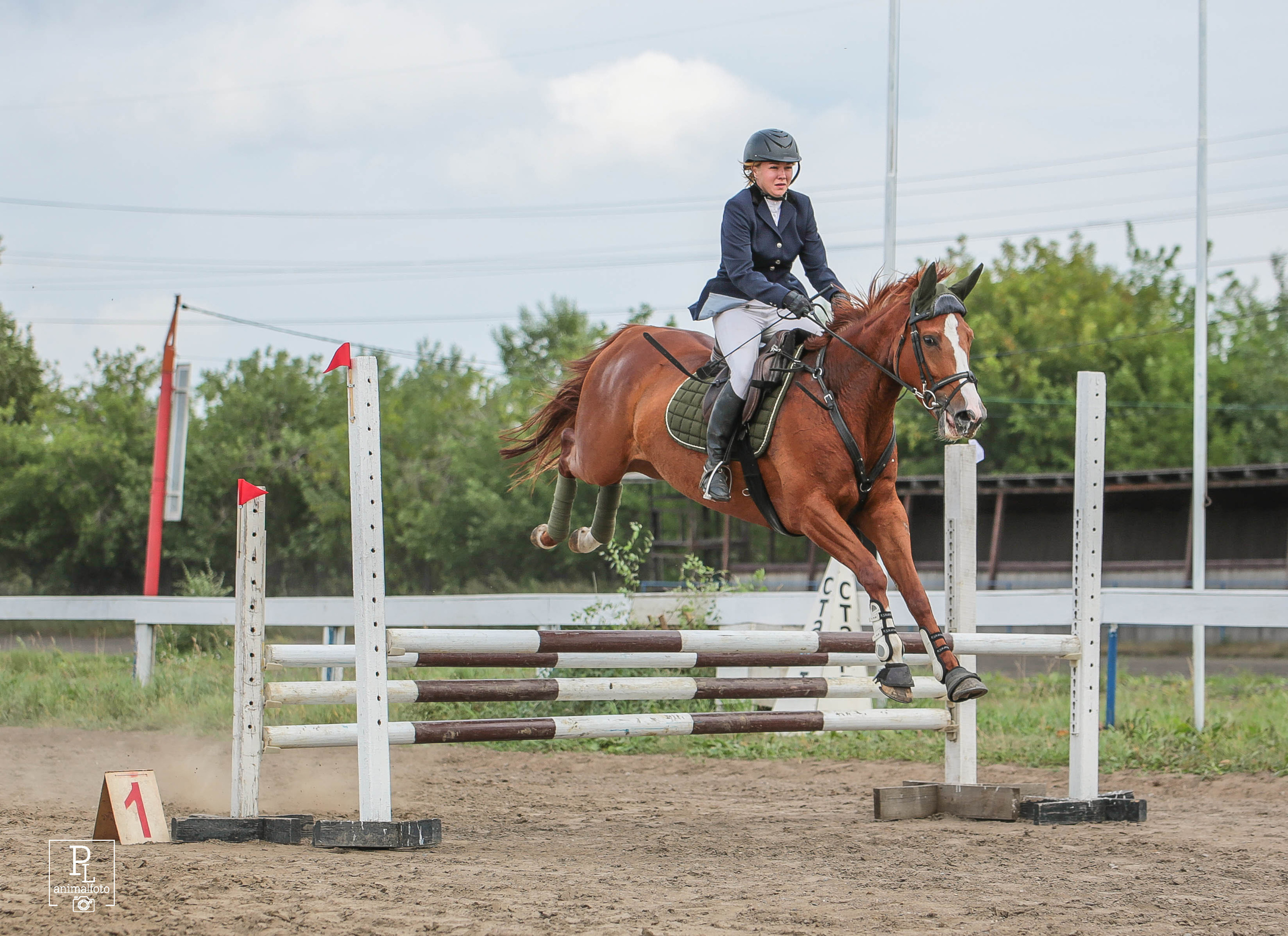 Соревнования 2022. Конный фотограф в Красноярске — Любовь Похабова