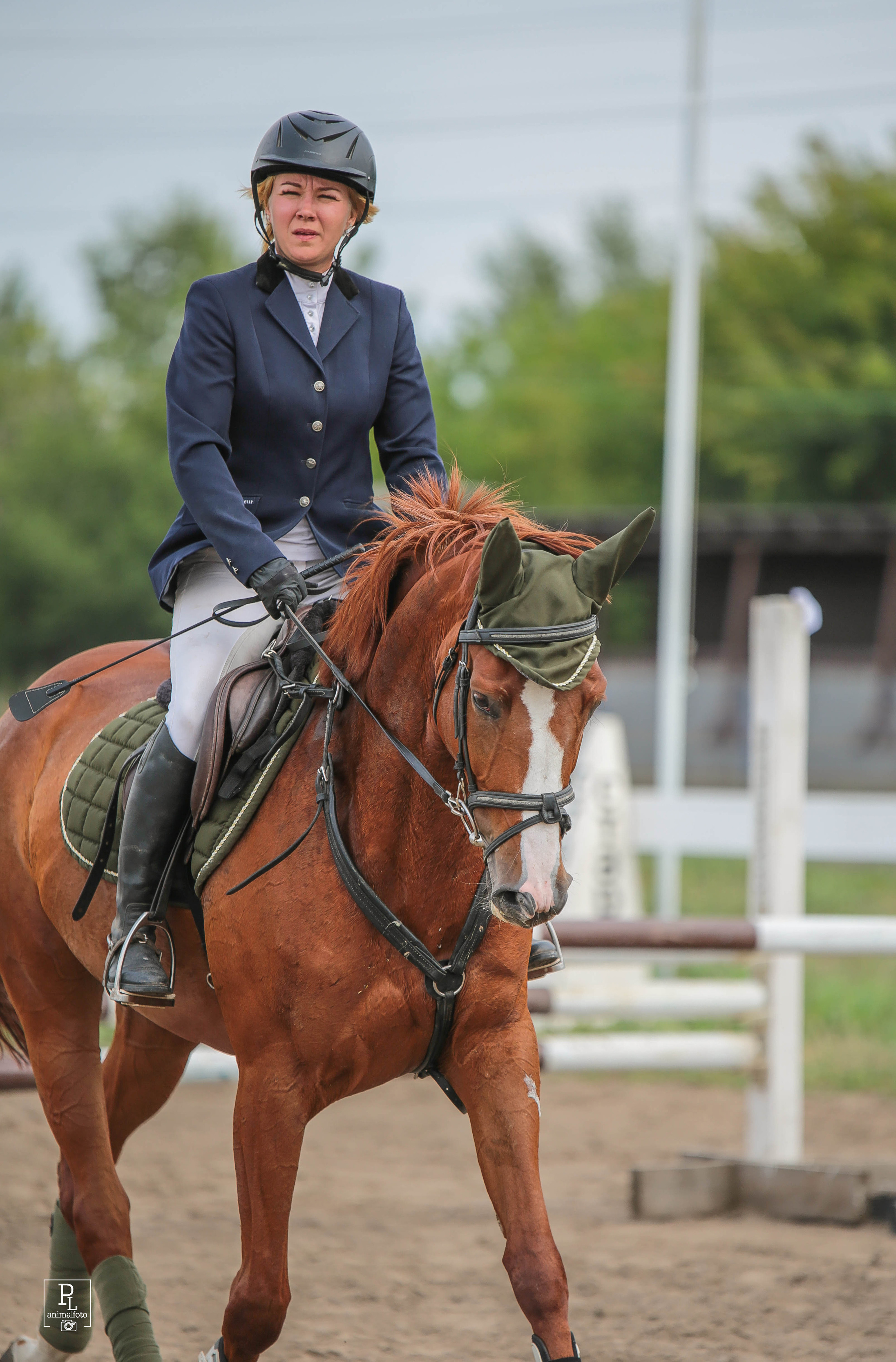Соревнования 2022. Конный фотограф в Красноярске — Любовь Похабова