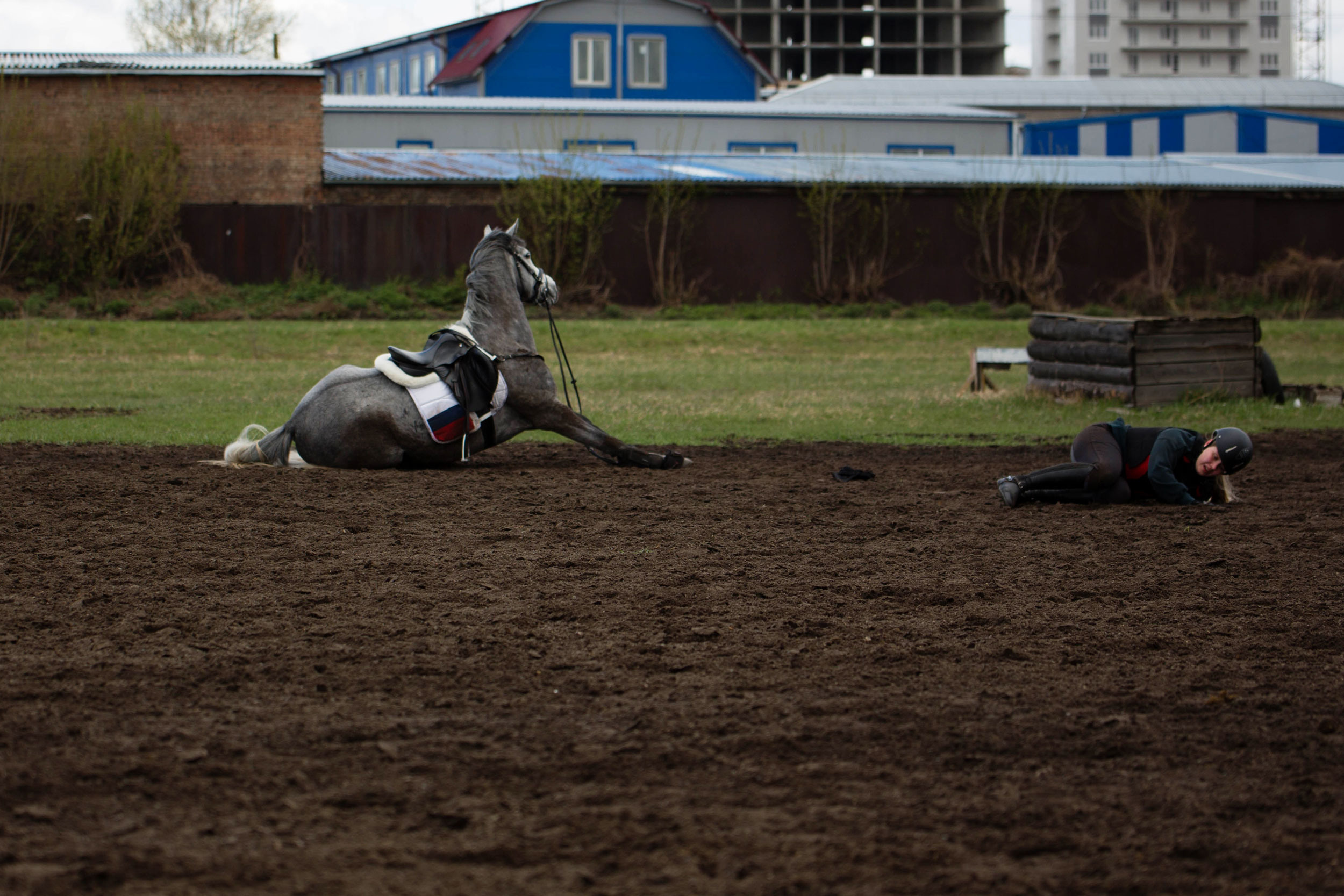 Соревнования 2022. Конный фотограф в Красноярске — Любовь Похабова