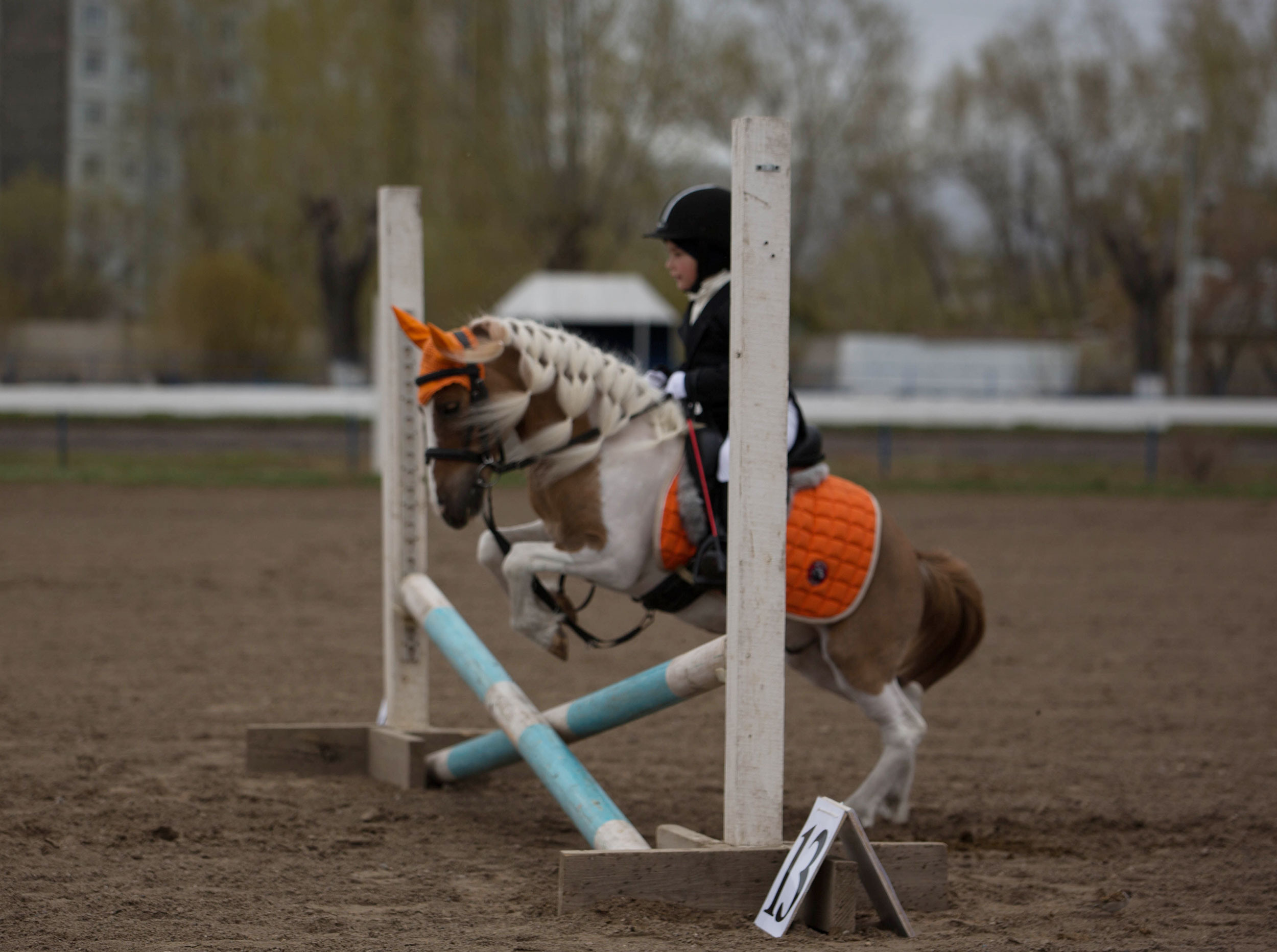 Соревнования 2022. Конный фотограф в Красноярске — Любовь Похабова