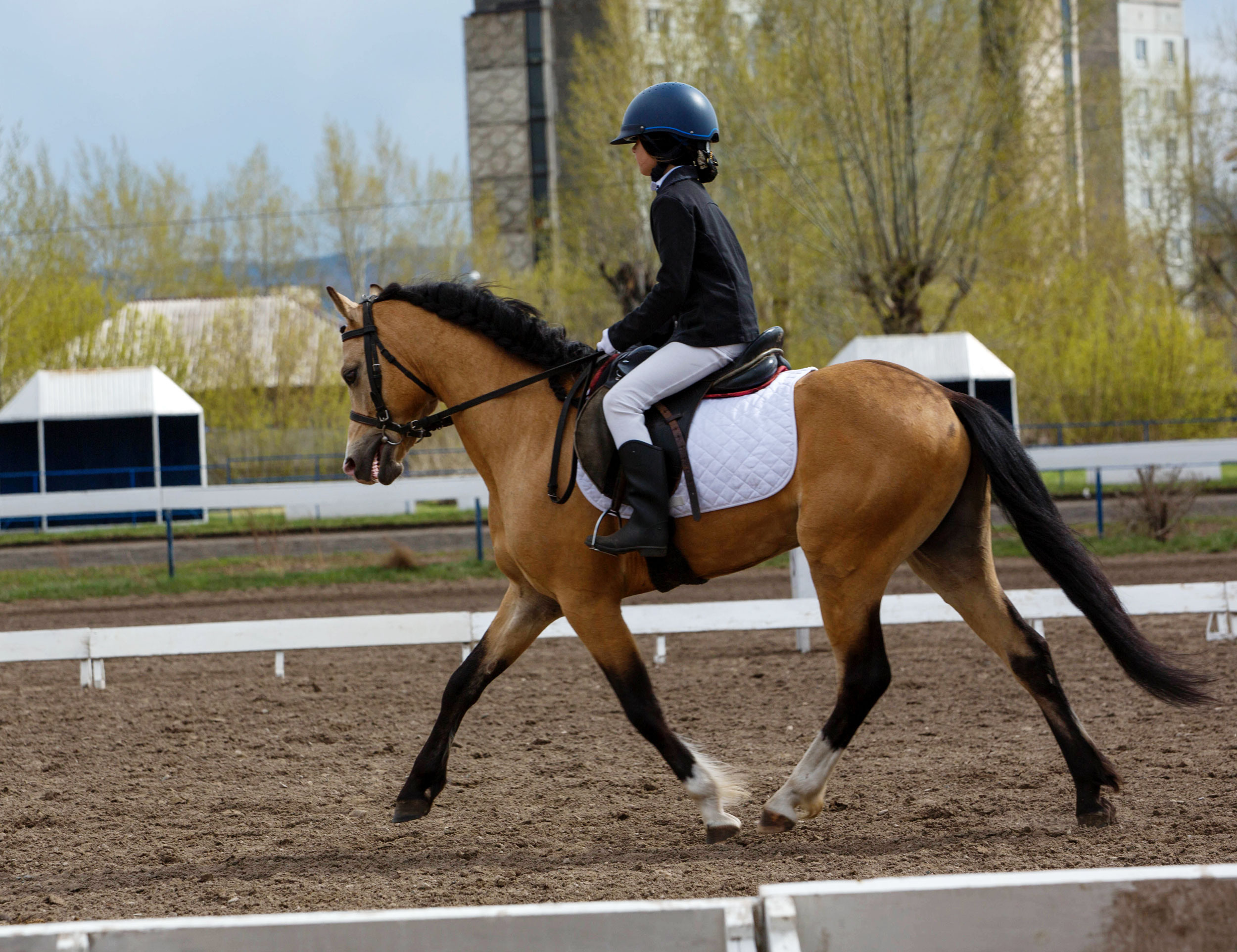 Соревнования 2022. Конный фотограф в Красноярске — Любовь Похабова