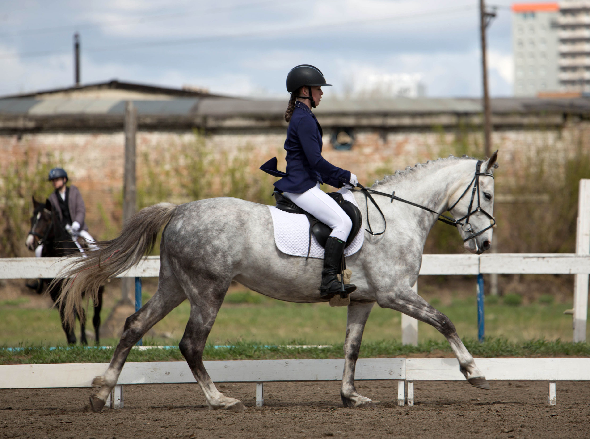 Соревнования 2022. Конный фотограф в Красноярске — Любовь Похабова