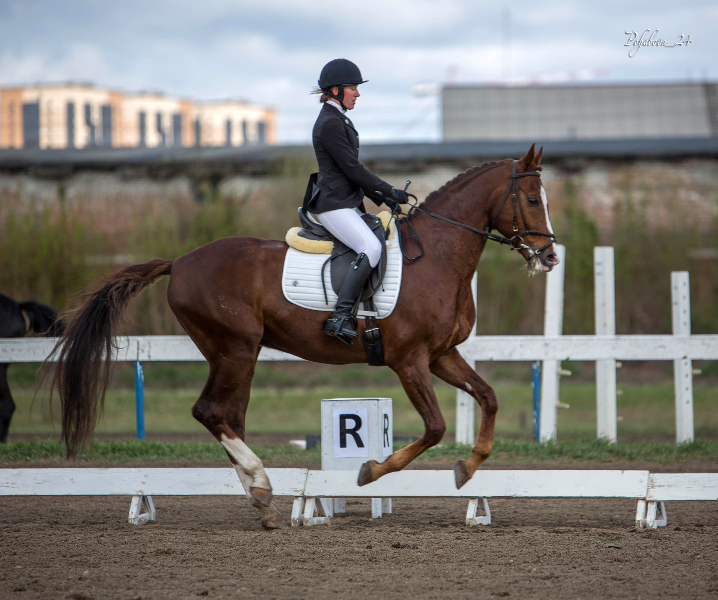 Соревнования 2022. Конный фотограф в Красноярске — Любовь Похабова