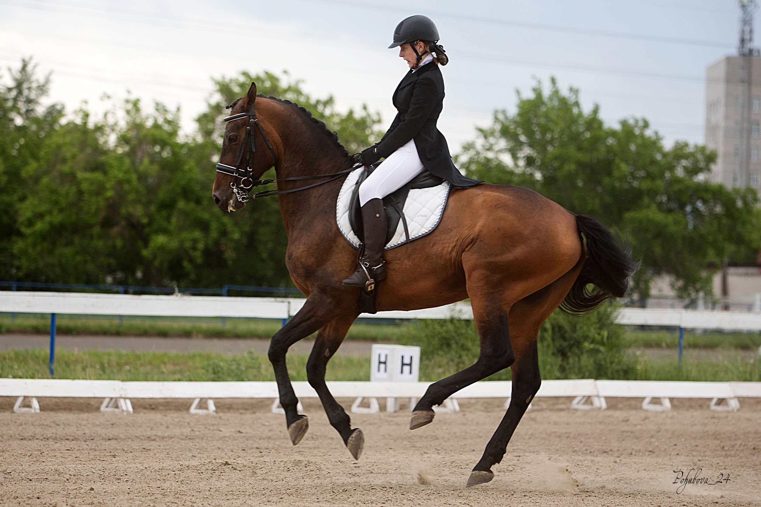 Соревнования 2022. Конный фотограф в Красноярске — Любовь Похабова