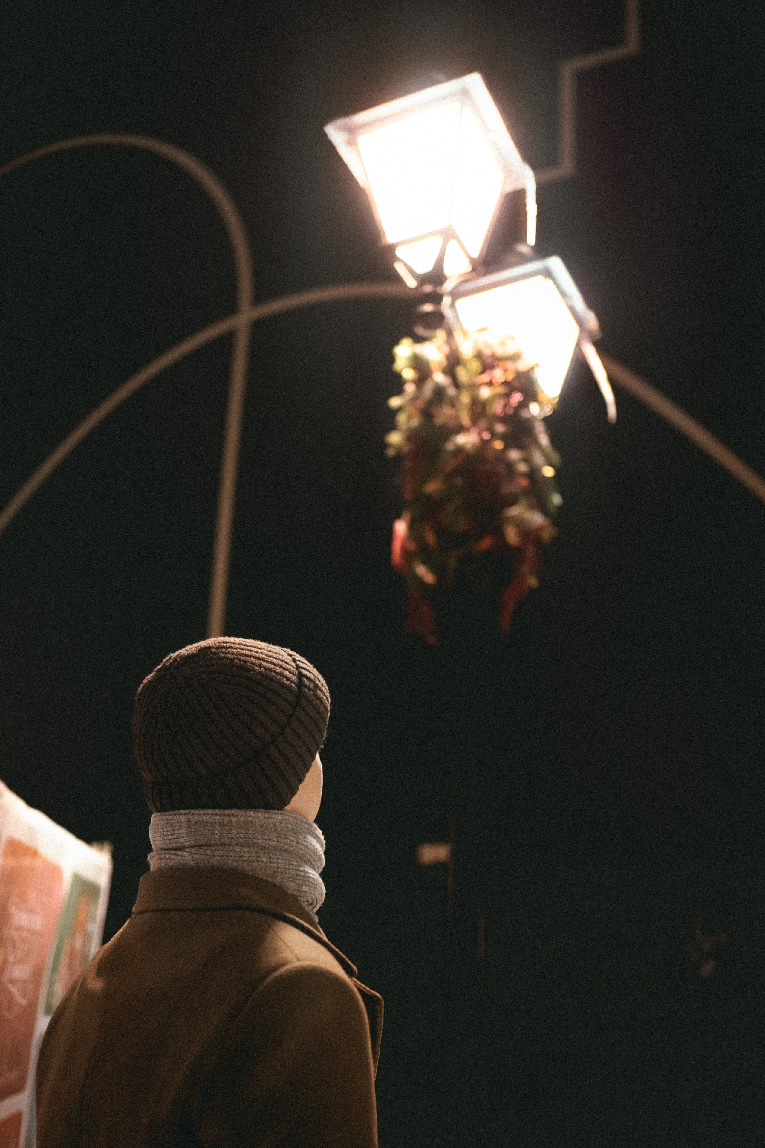 Владимир в Москве