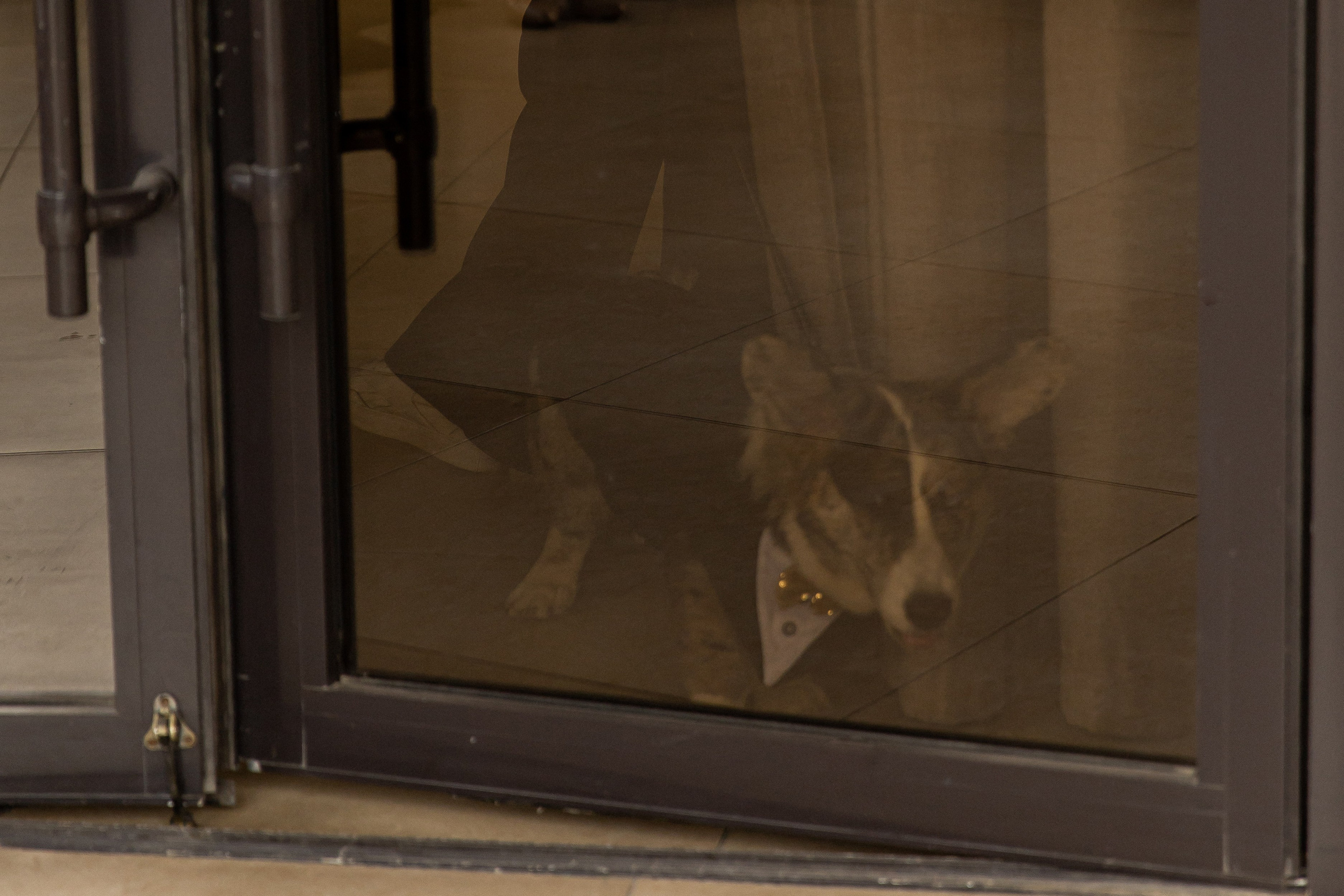 Встретились, влюбились, навсегда. Нина и Женя. Свадебный и семейный фотограф в Магнитогорске Катя Буряк