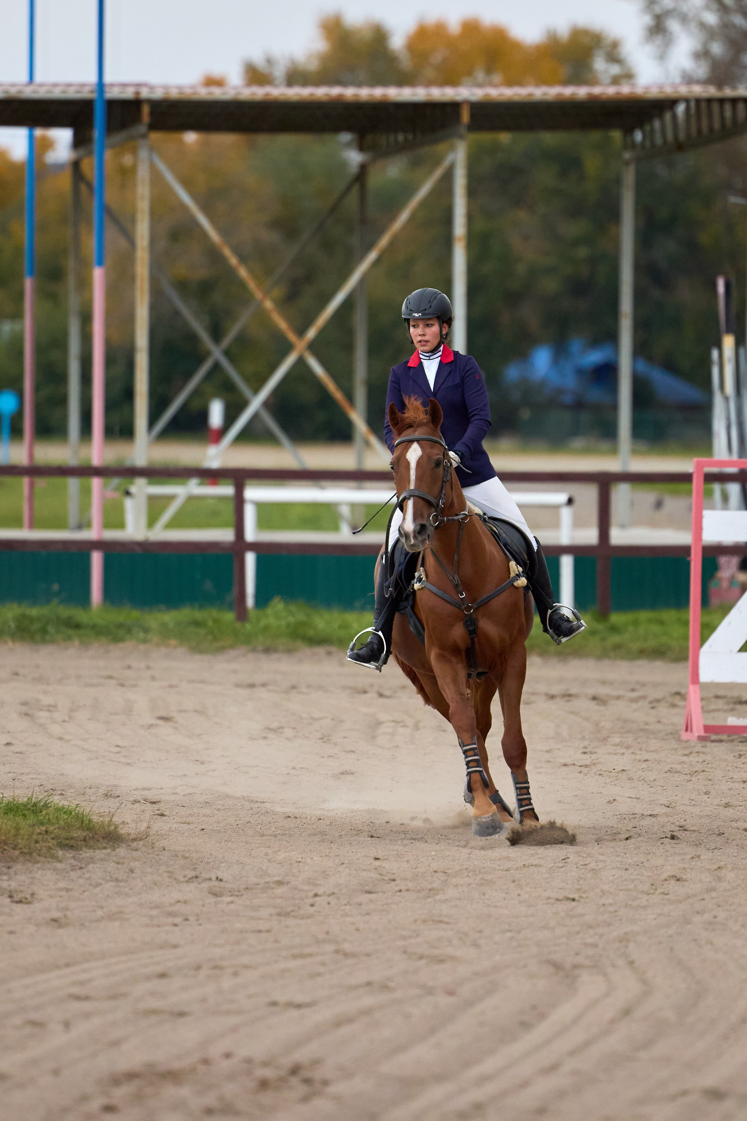 Конкур на Абаканском ипподроме. Ваши Истории. Фотограф/видеограф. Абакан