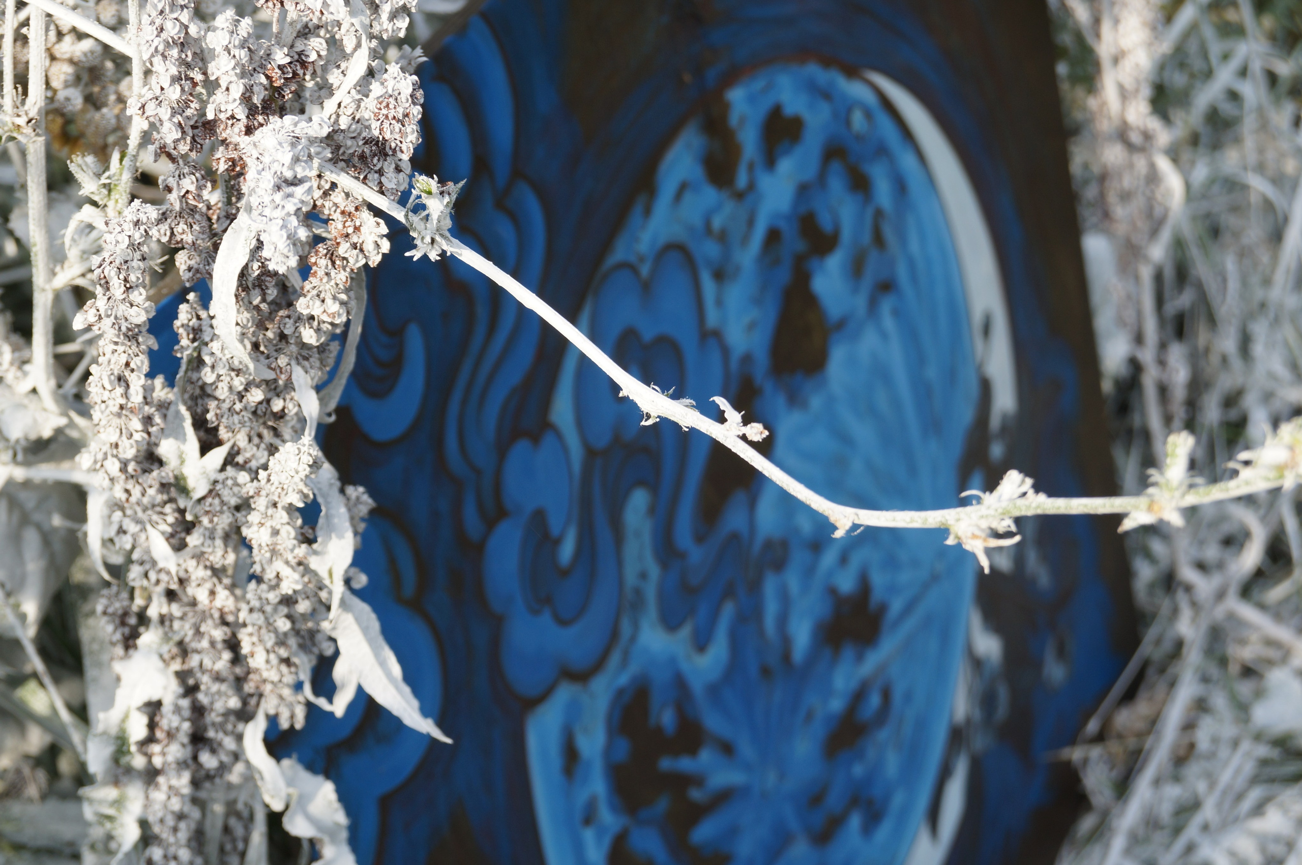 Сизый месяц. Саша Гдетотам