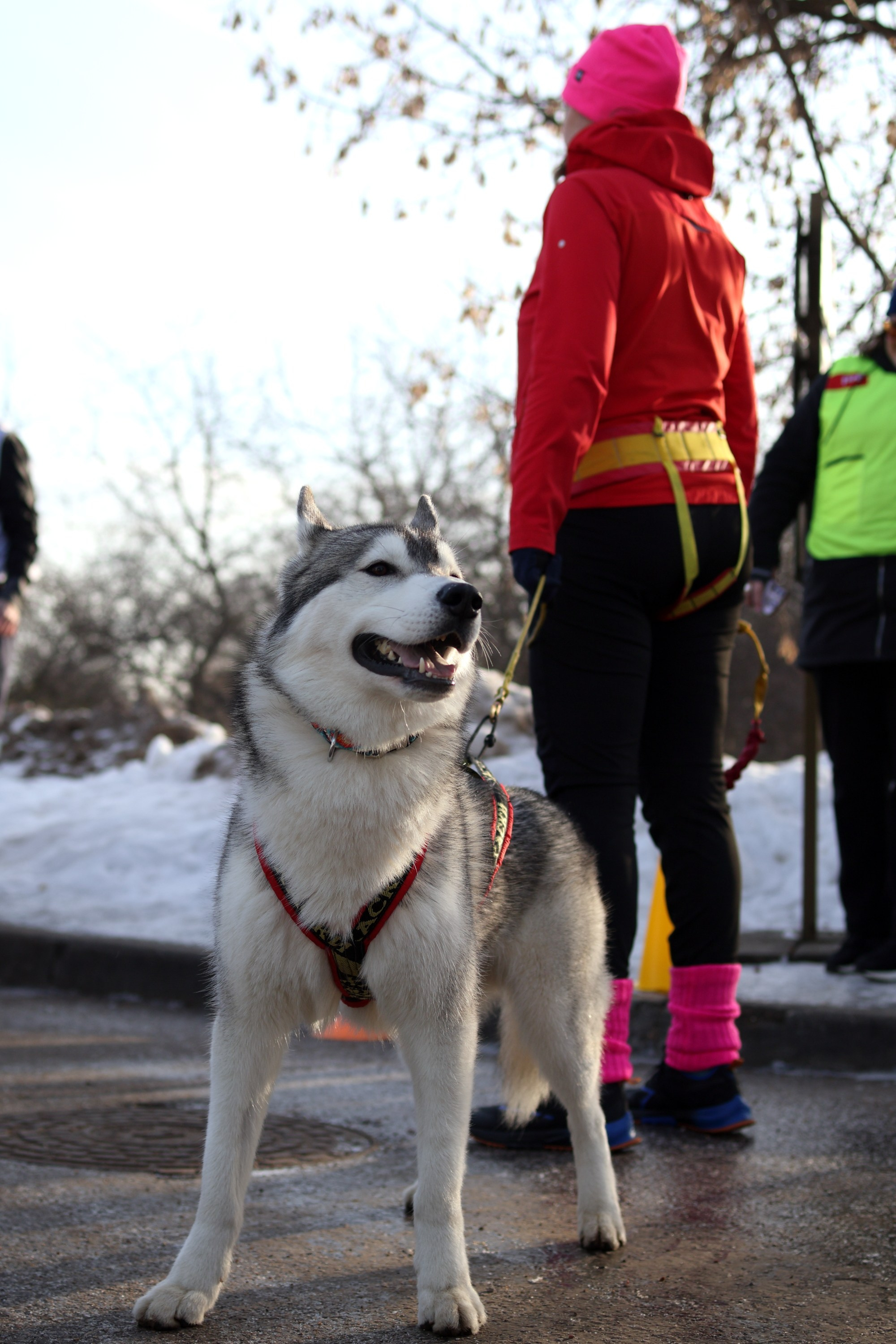 5 Верст. Коломенское (#202). Спортивный и репортажный фотограф Ермакова Светлана