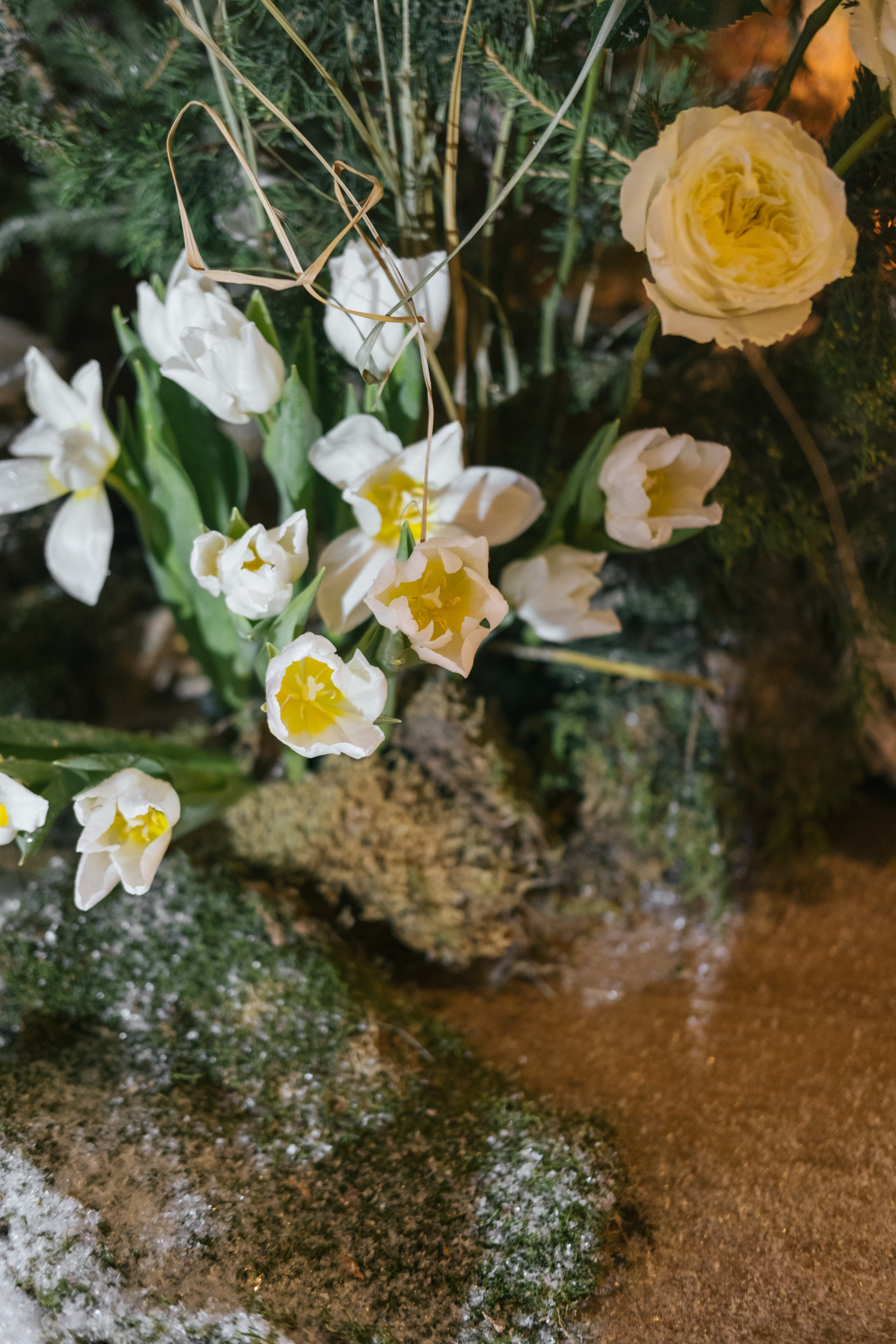 Алёна / Дмитрий. Свадебный Видеограф Фотограф в Сочи