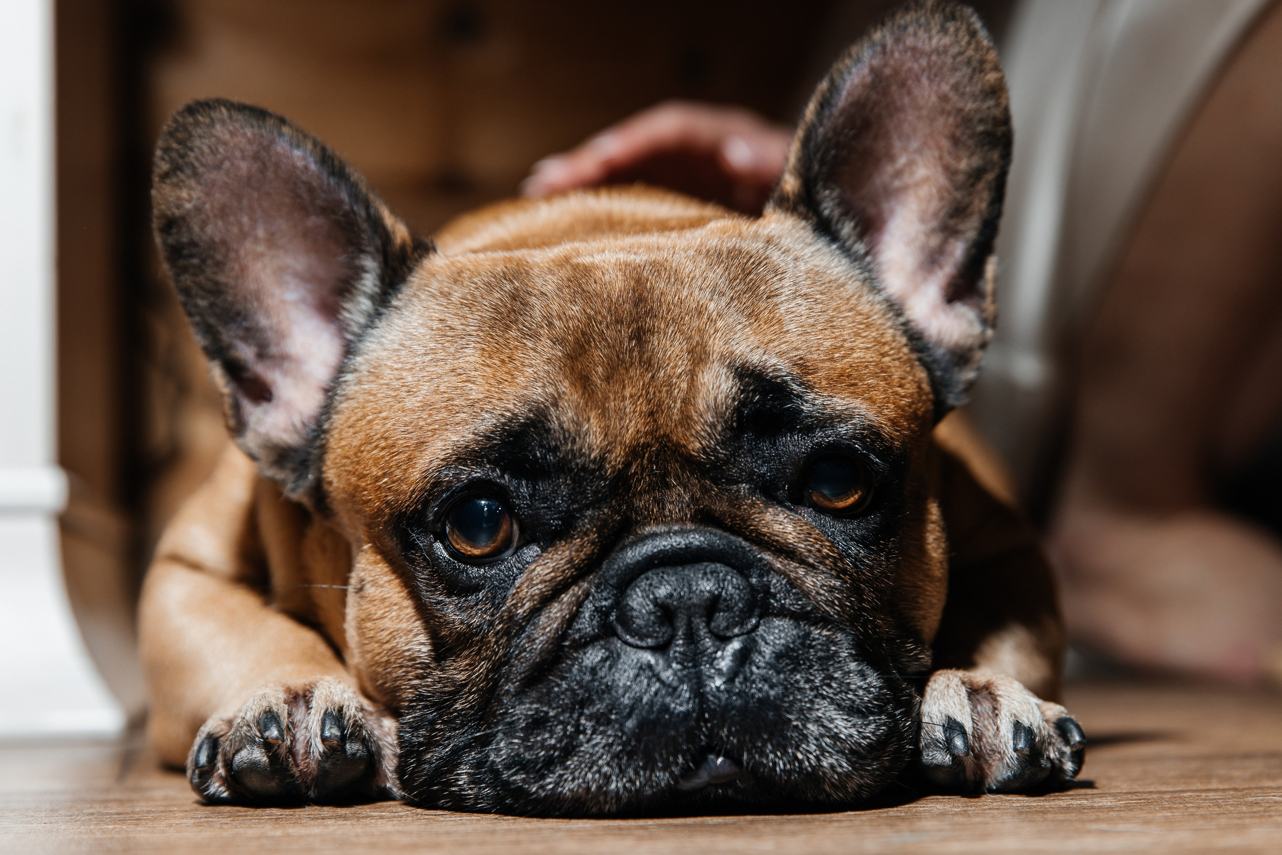 Дмитрий и Полина. Фотограф Москва Шептаев Артём