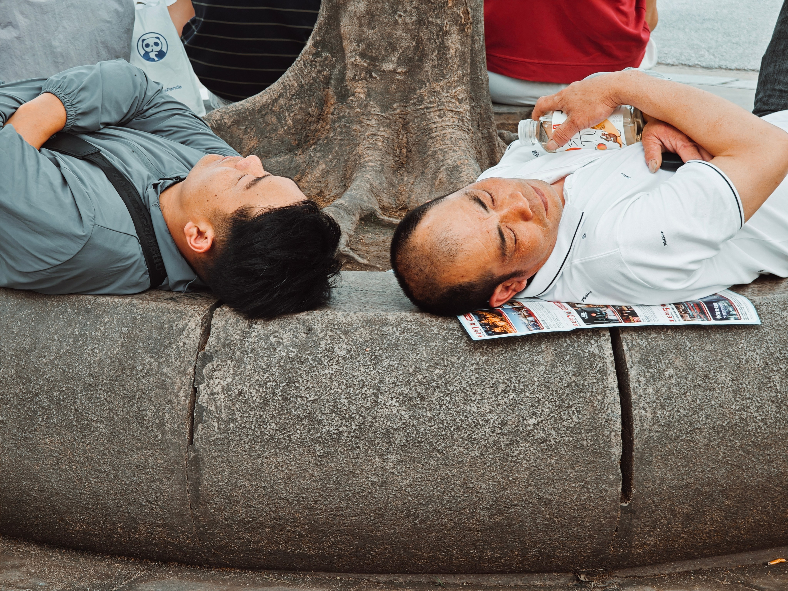 The Great Journey to China. Brjankin.com