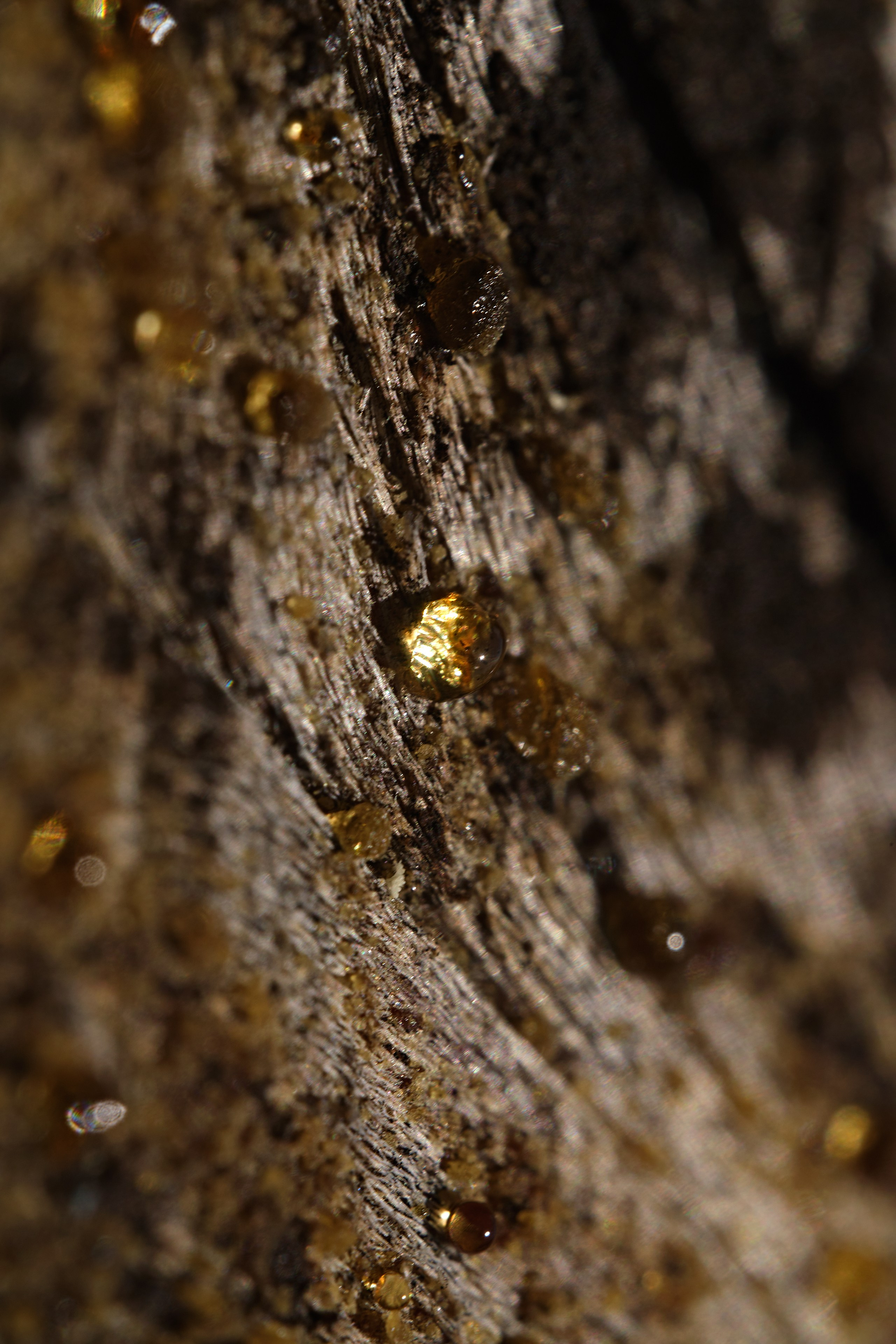 Nature. Рекламная фото и видео съёмка в Екатеринбурге