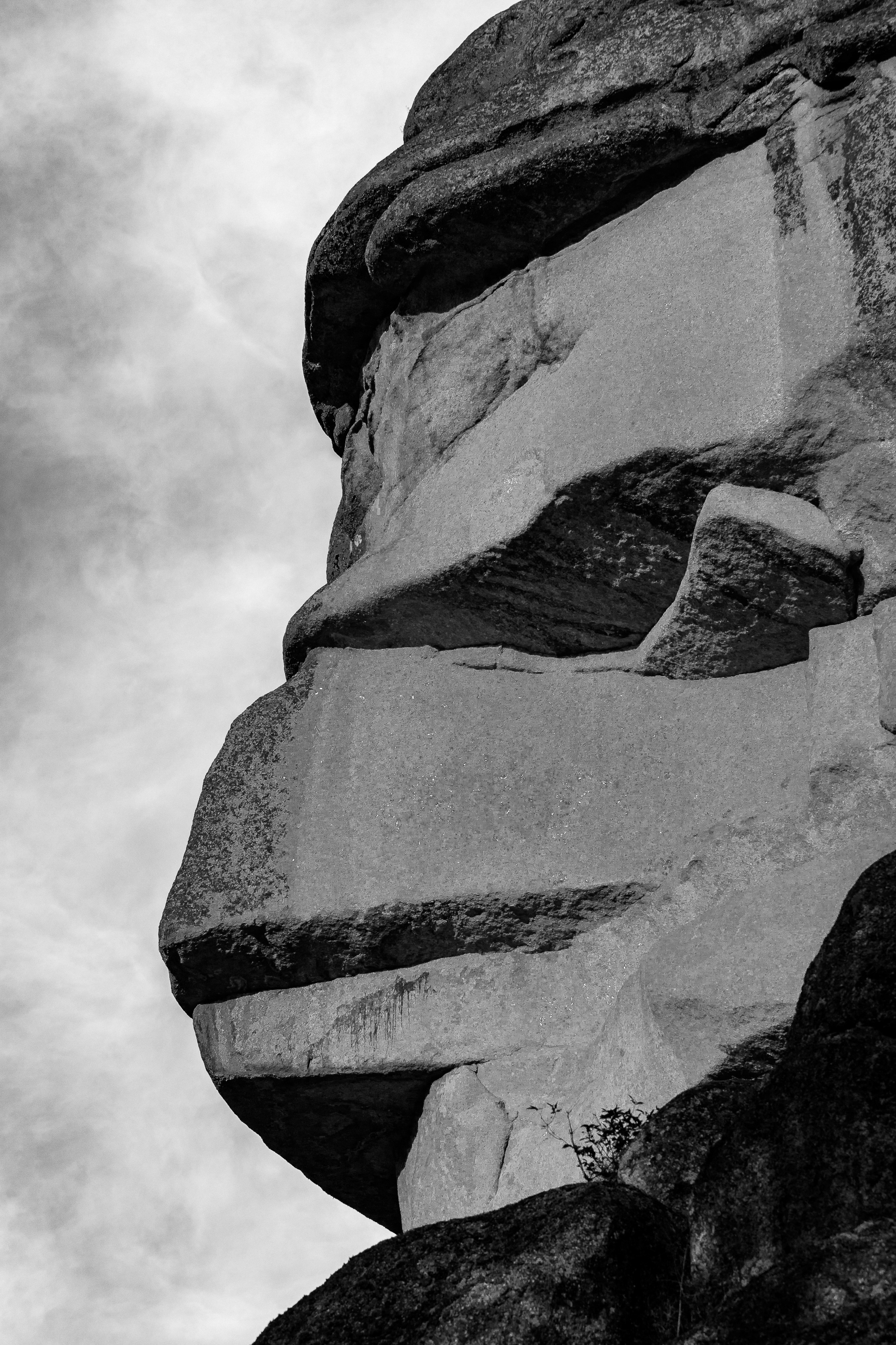 Серия «Горные обитатели». Фотограф в Москве Татьяна Макотра