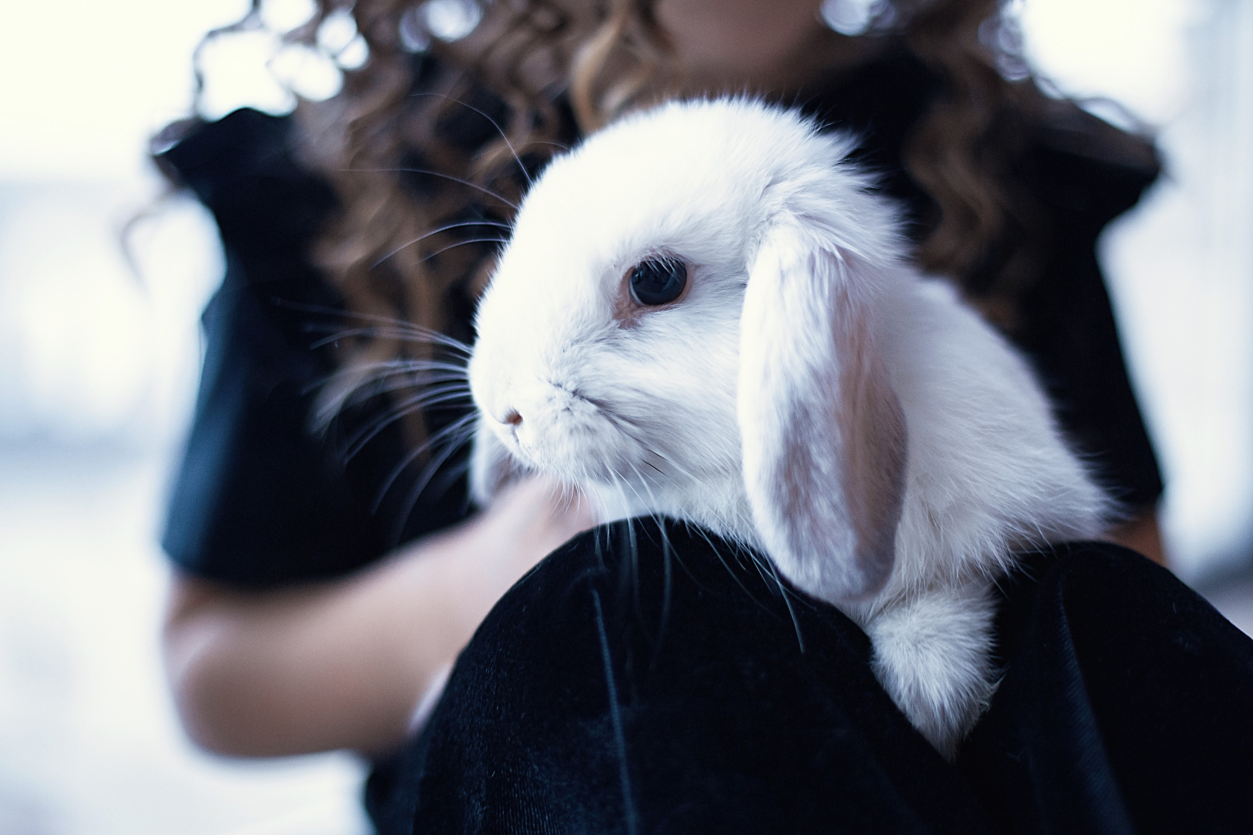 Новогодняя серия❄️. Семейный фотограф в Санкт-Петербурге