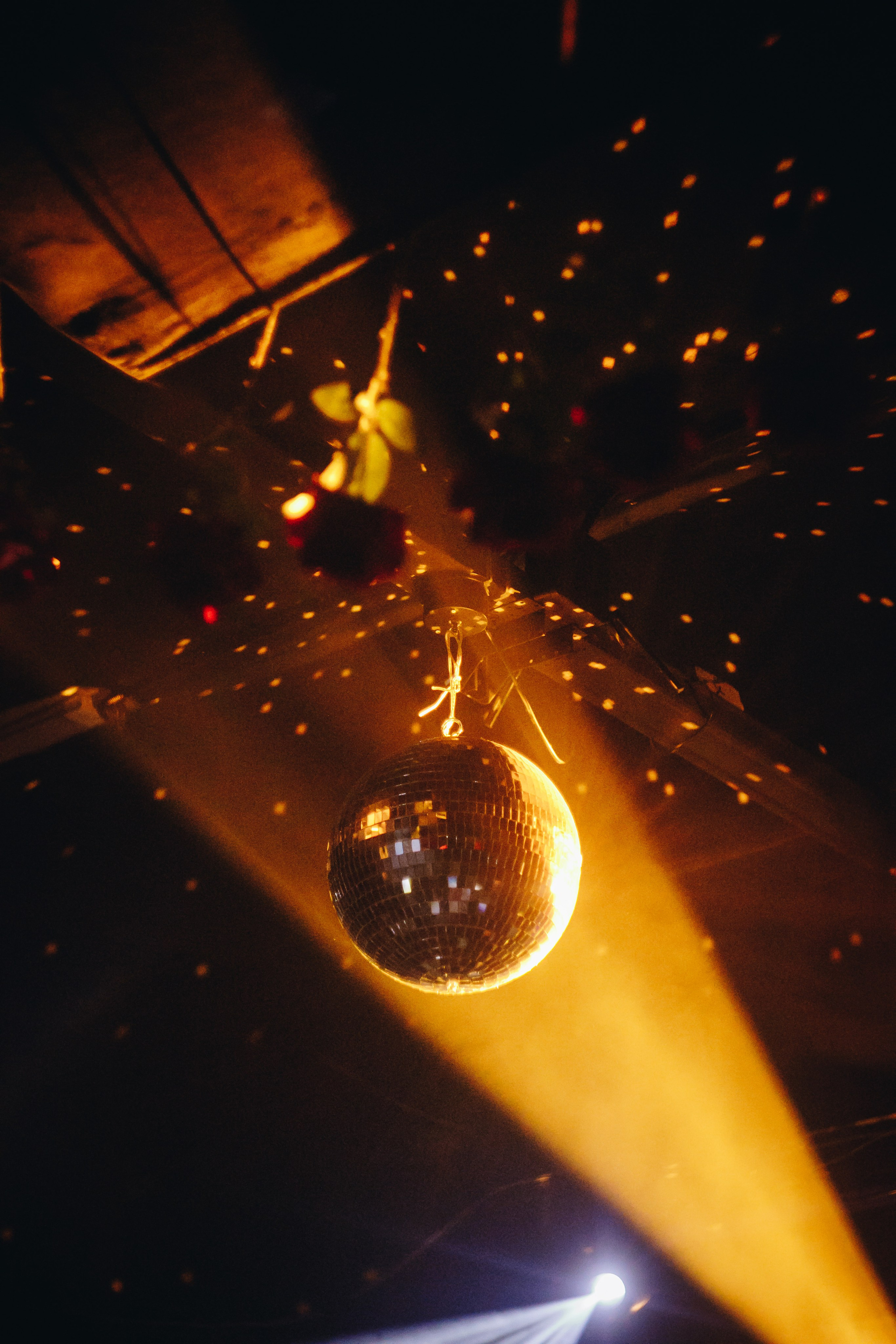 Alt Rose Fest | Asmodey House. Darinishna Фэнтези-фотограф Хабаровск