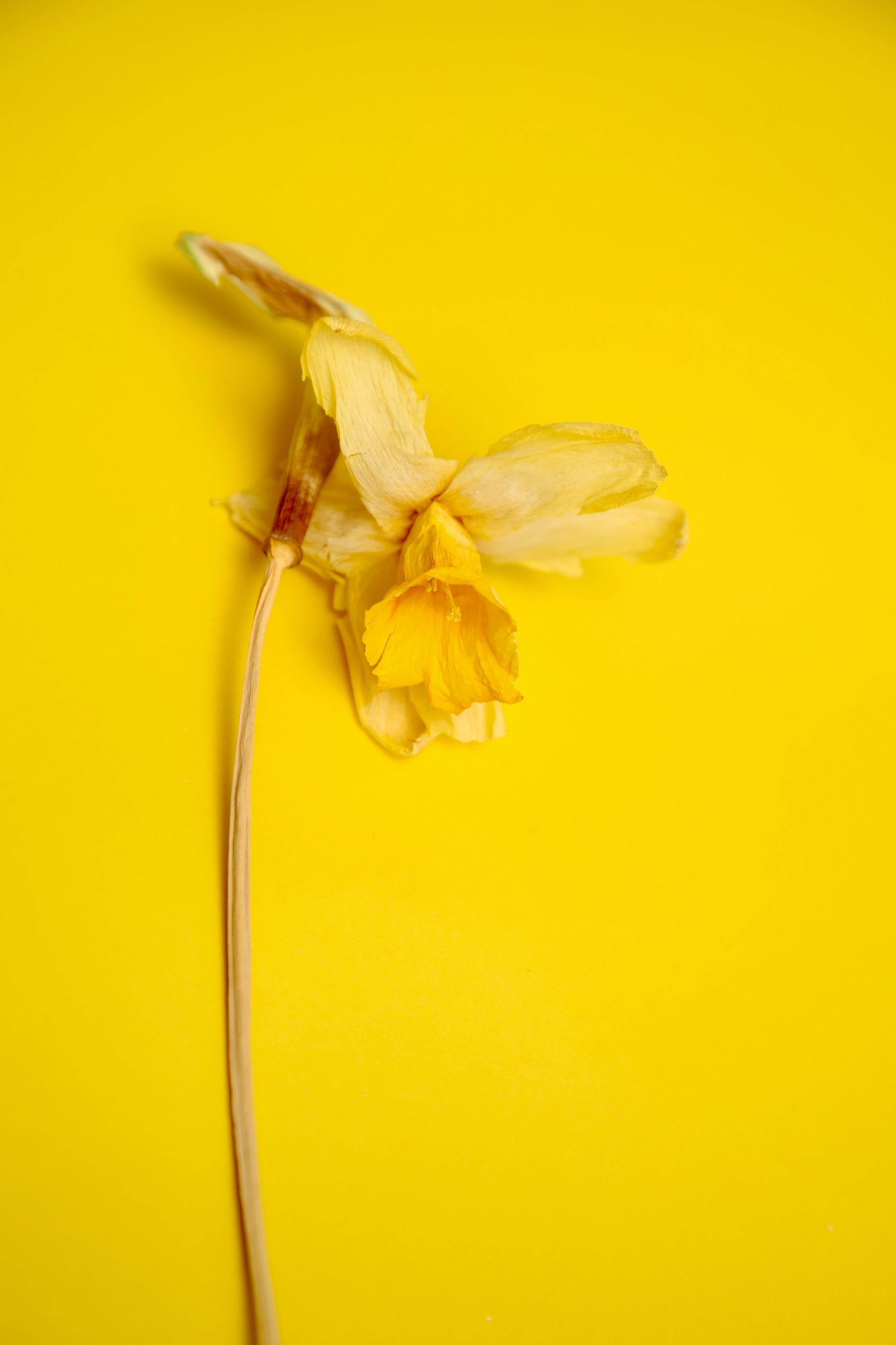 Эксперименты. Фотосессии и репортаж — Фотограф в Москве — Рина Серёгина