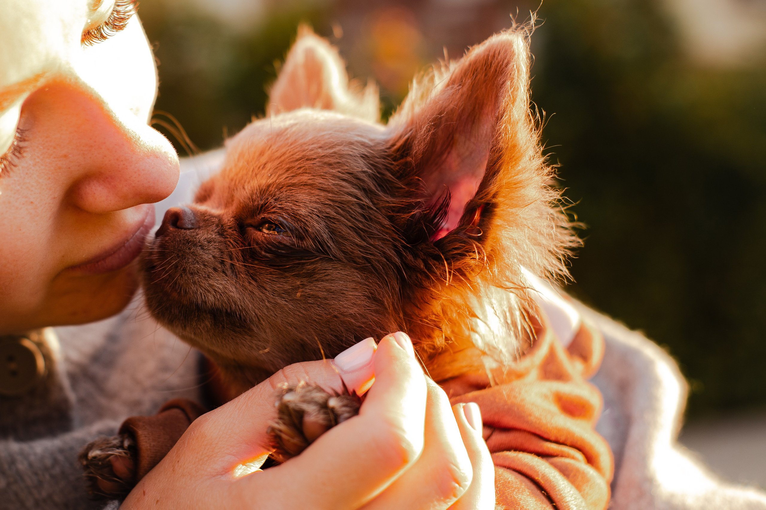 Варя и Фунтик. Фотограф-анималист Мария Баркевич | Москва