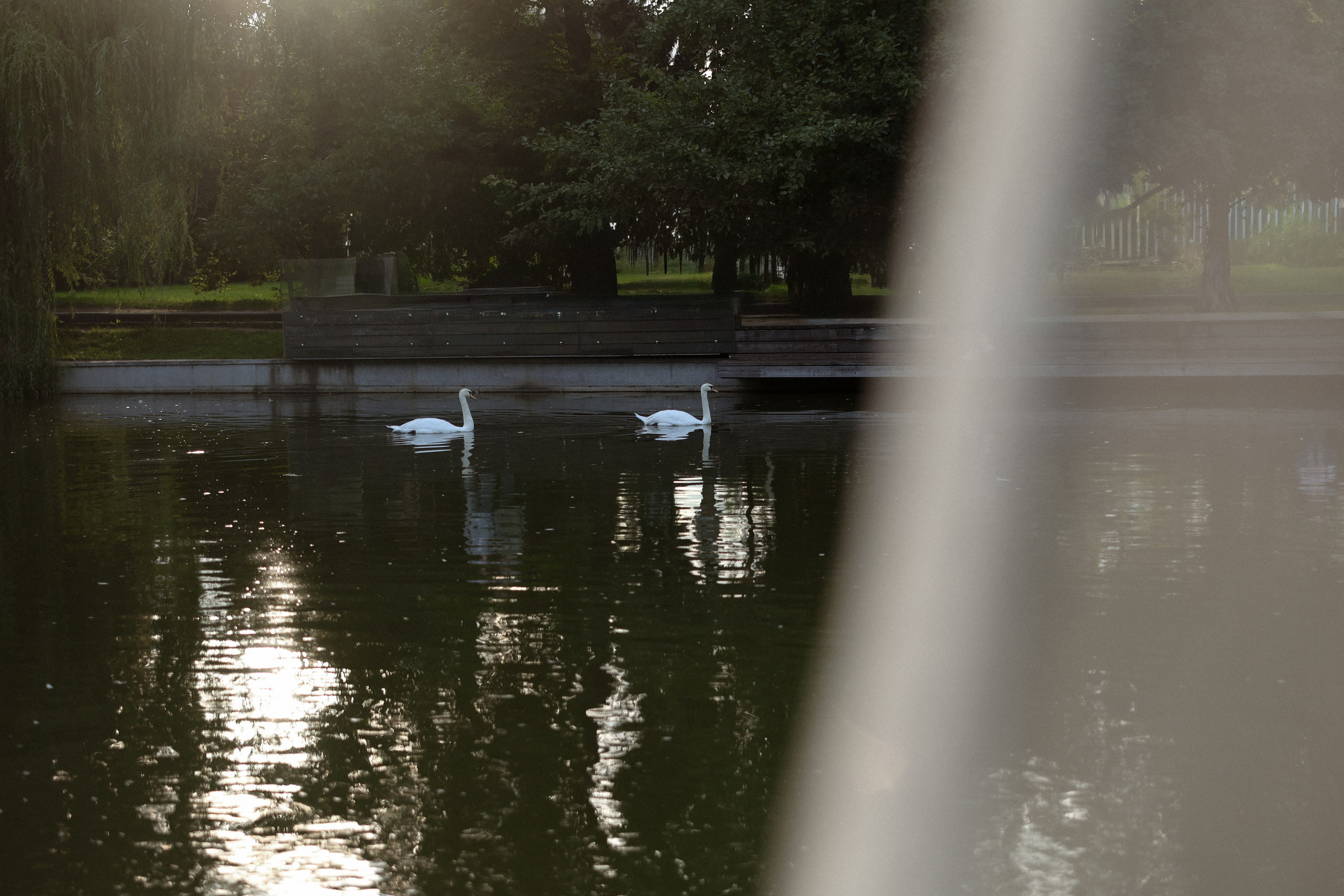 «Всегда» — Юлия и Александр. Свадебный и семейный фотограф в Москве Ломова Ирина