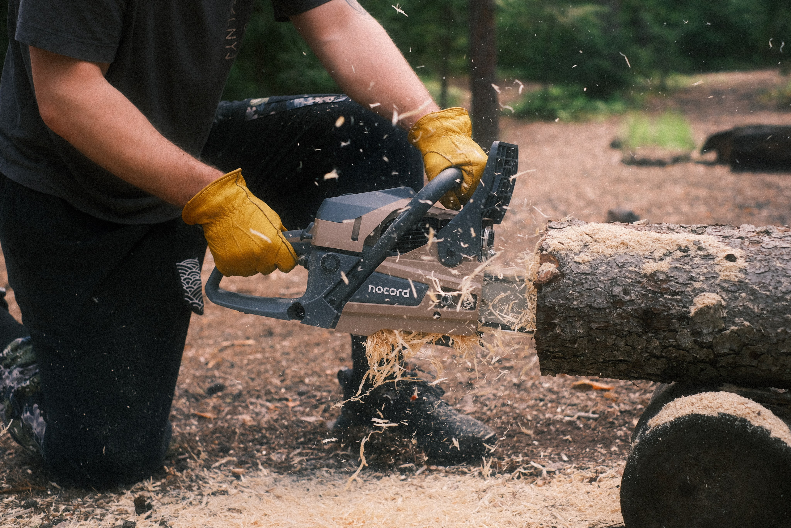 Орехово | май 2025