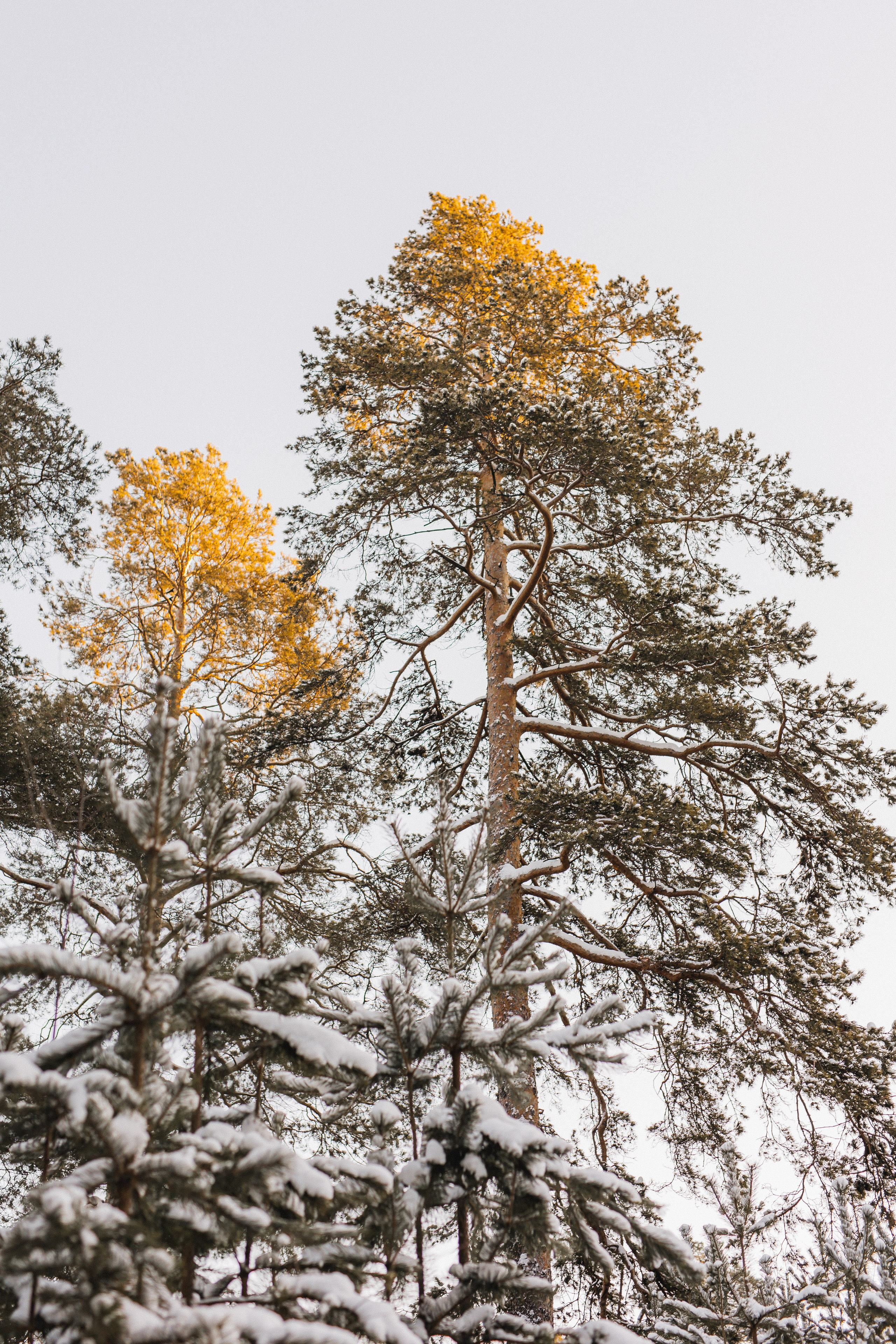 Екатерина. Фотограф Анастасия Петрова