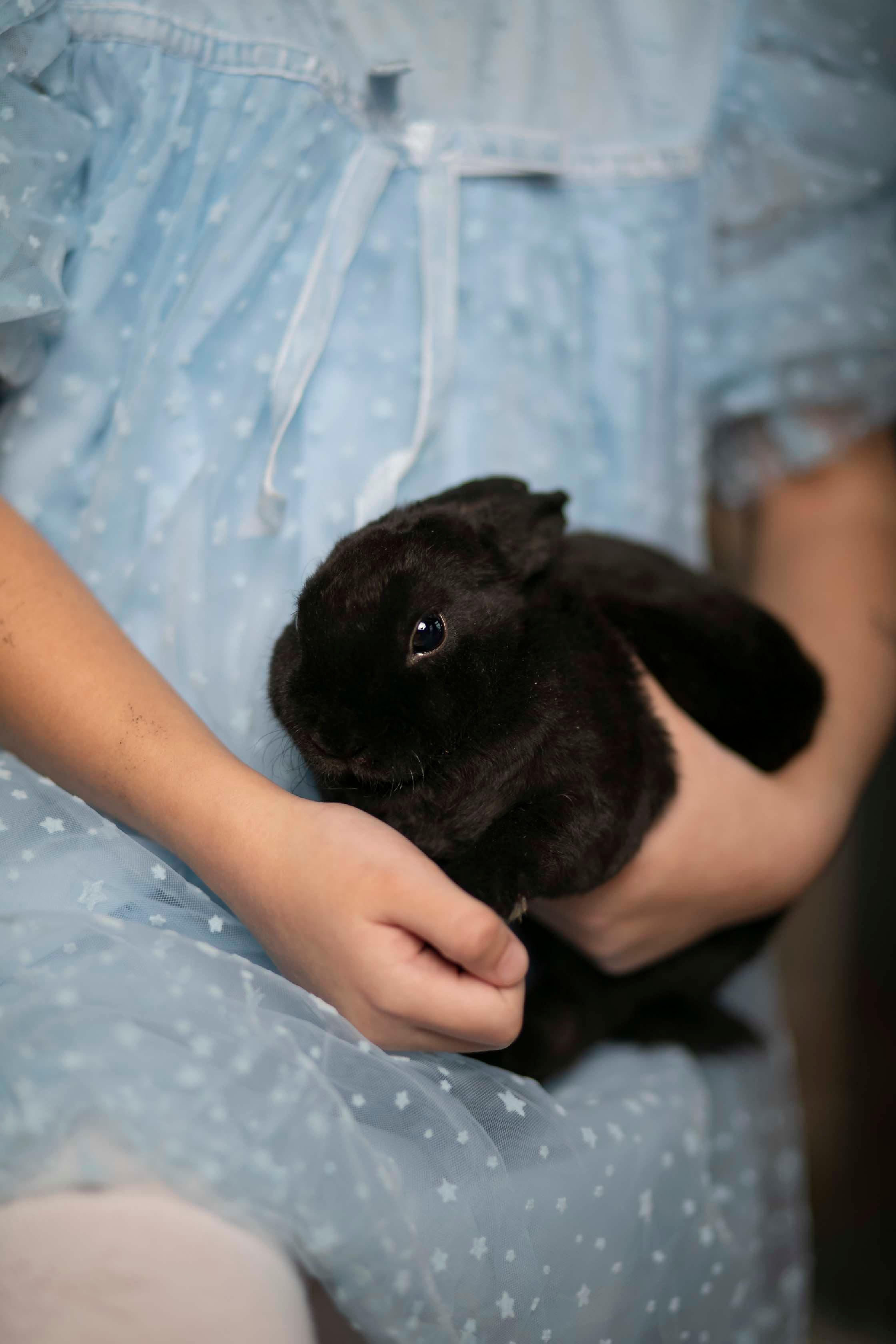 Аня. Семейный и детский фотограф в Санкт-Петербург. Natalia Fadel