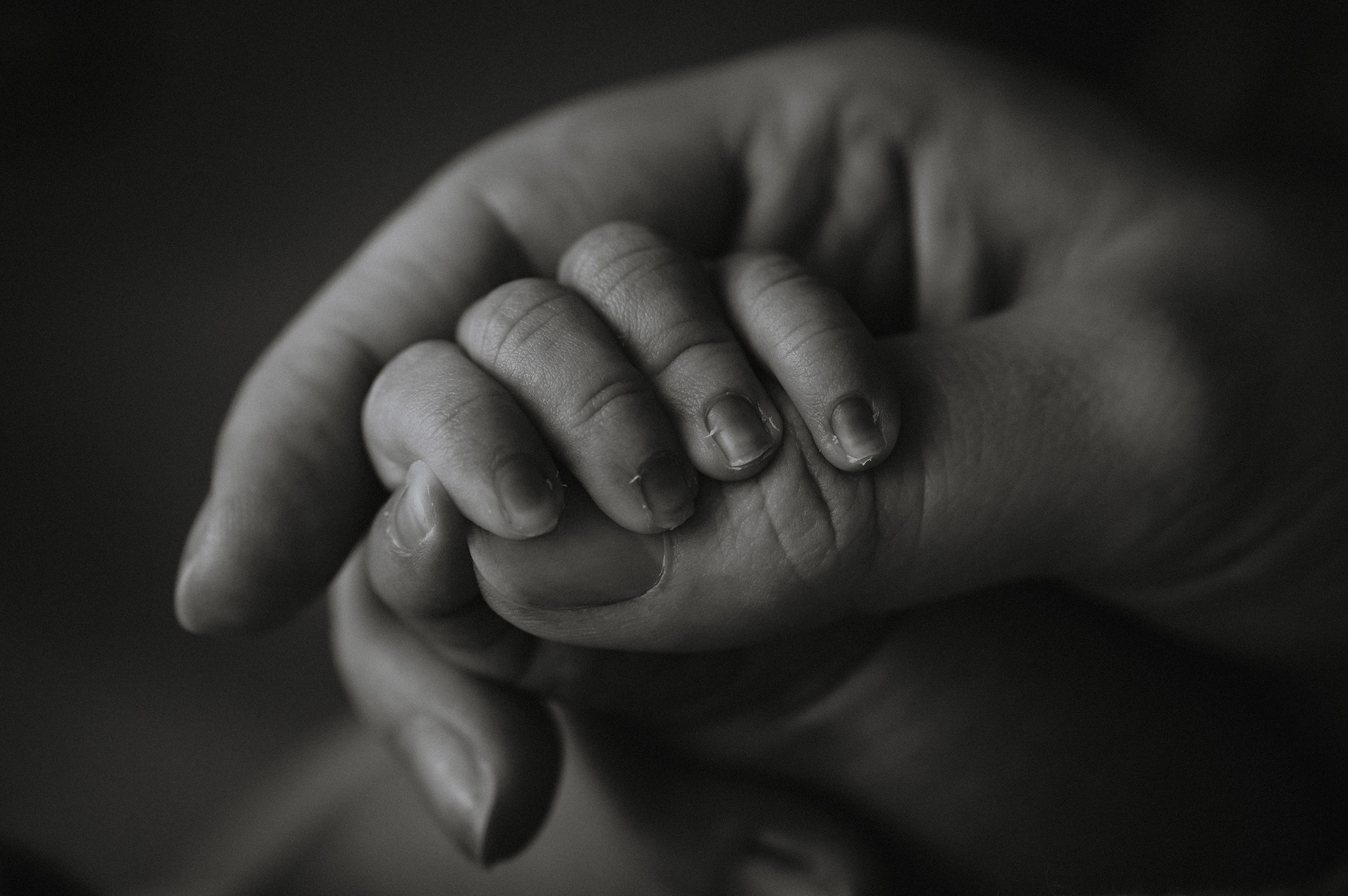 Давид. 04.02.2026. Фотограф СЕМЬИ и ДЕТСТВА в Краснодаре и Краснодарском крае Екатерина Москат