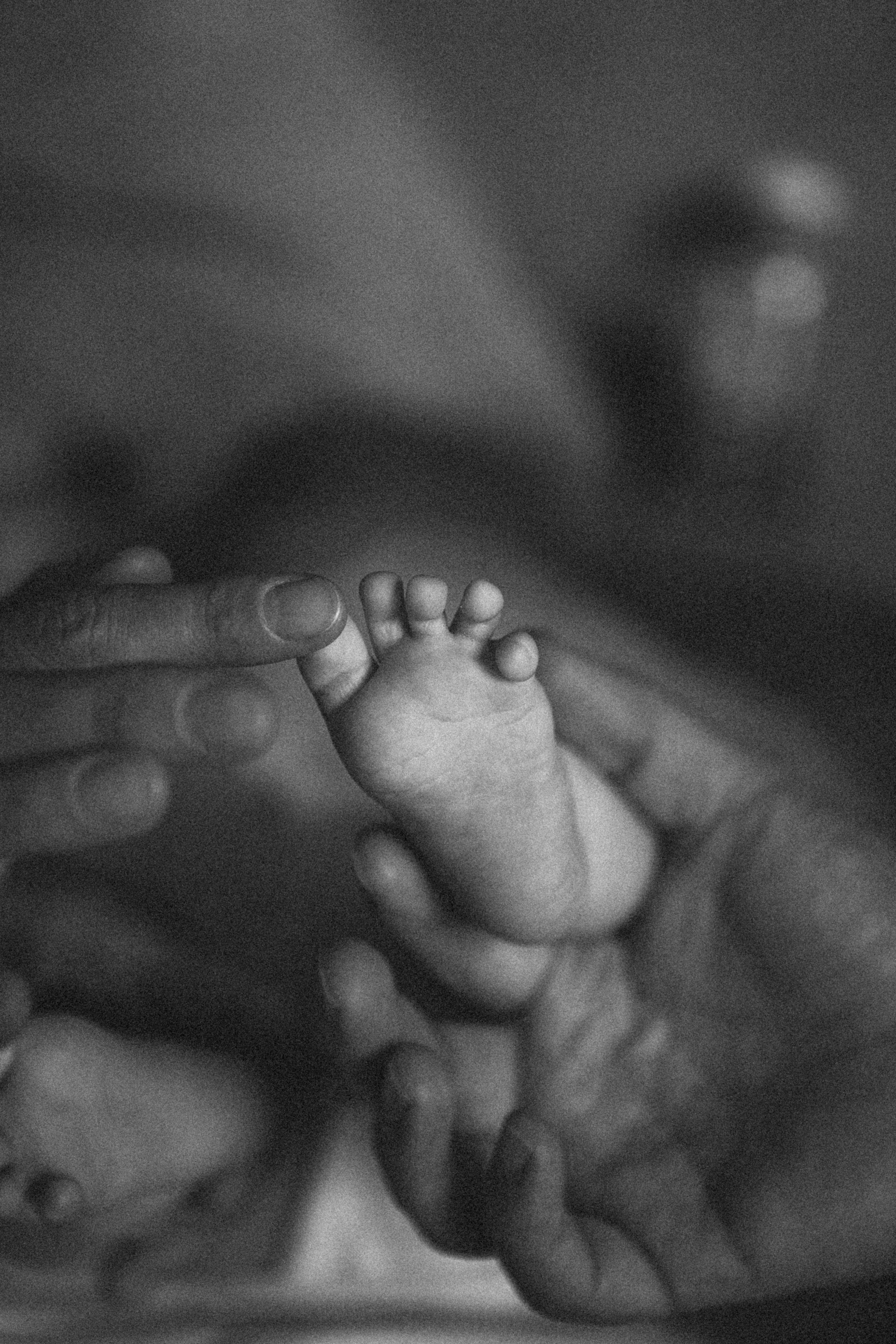 Евгения. Свадебный фотограф в СПБ | Санкт-Петербурге Анастасия Рахимгулова