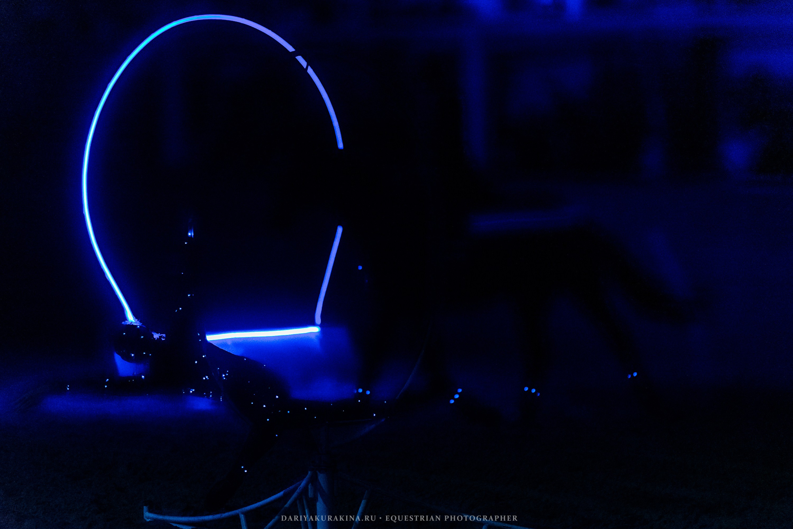 Конное представление «Дыхание Звёзд». Конный фотограф Куракина Дарья • Фотосессии с лошадьми
