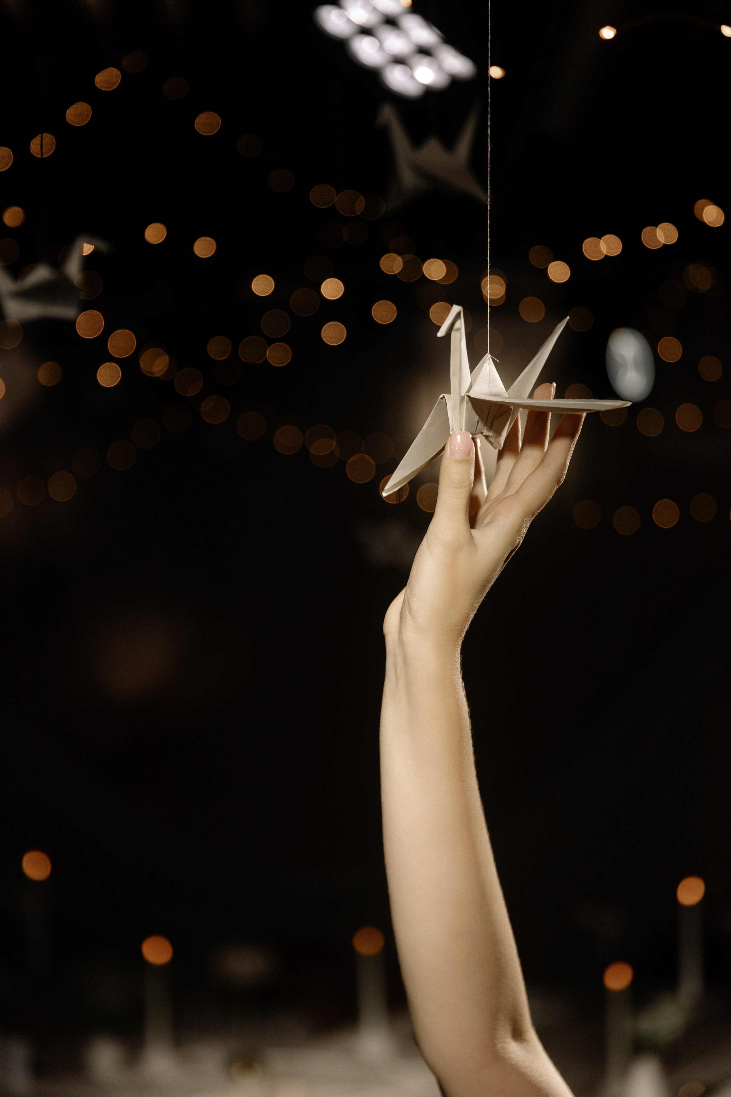 Ясный мой свет. Свадебный фотограф Алина Хабарова