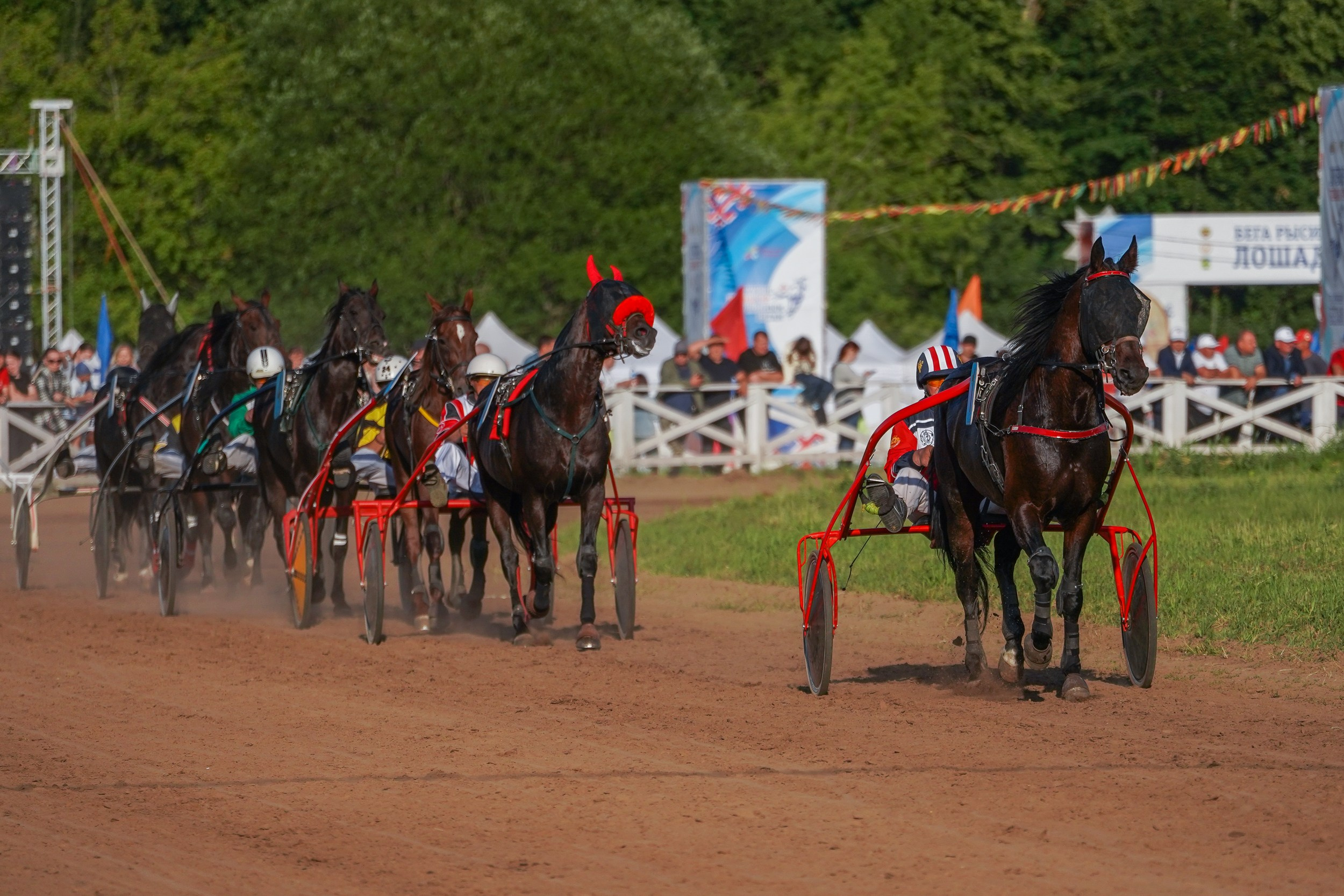 III конные бега на Кубок Главы Чувашии. Фотограф-анималист, портретный фотограф в Чебоксарах Мария Садыкова
