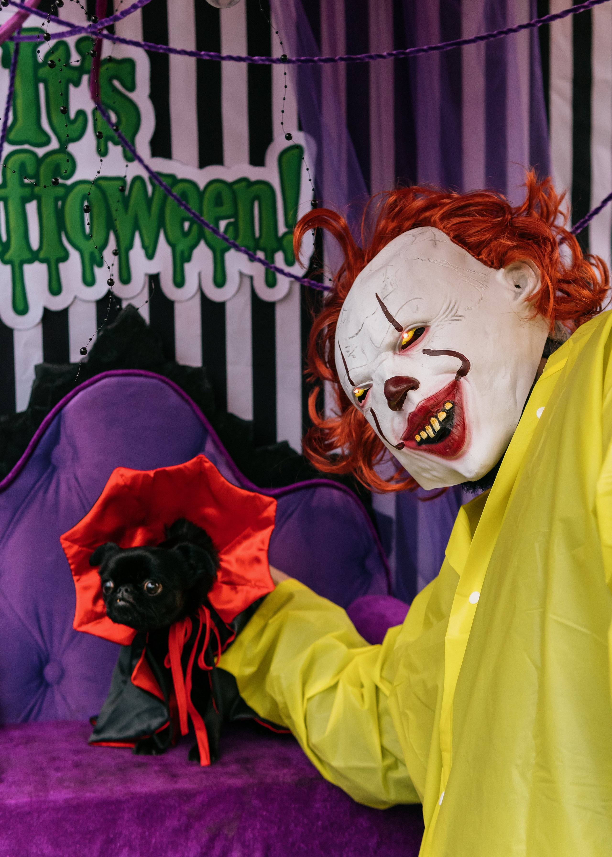 Тематическая встреча породников «Griffween». Фотограф-анималист Ксения Воробьева, Москва