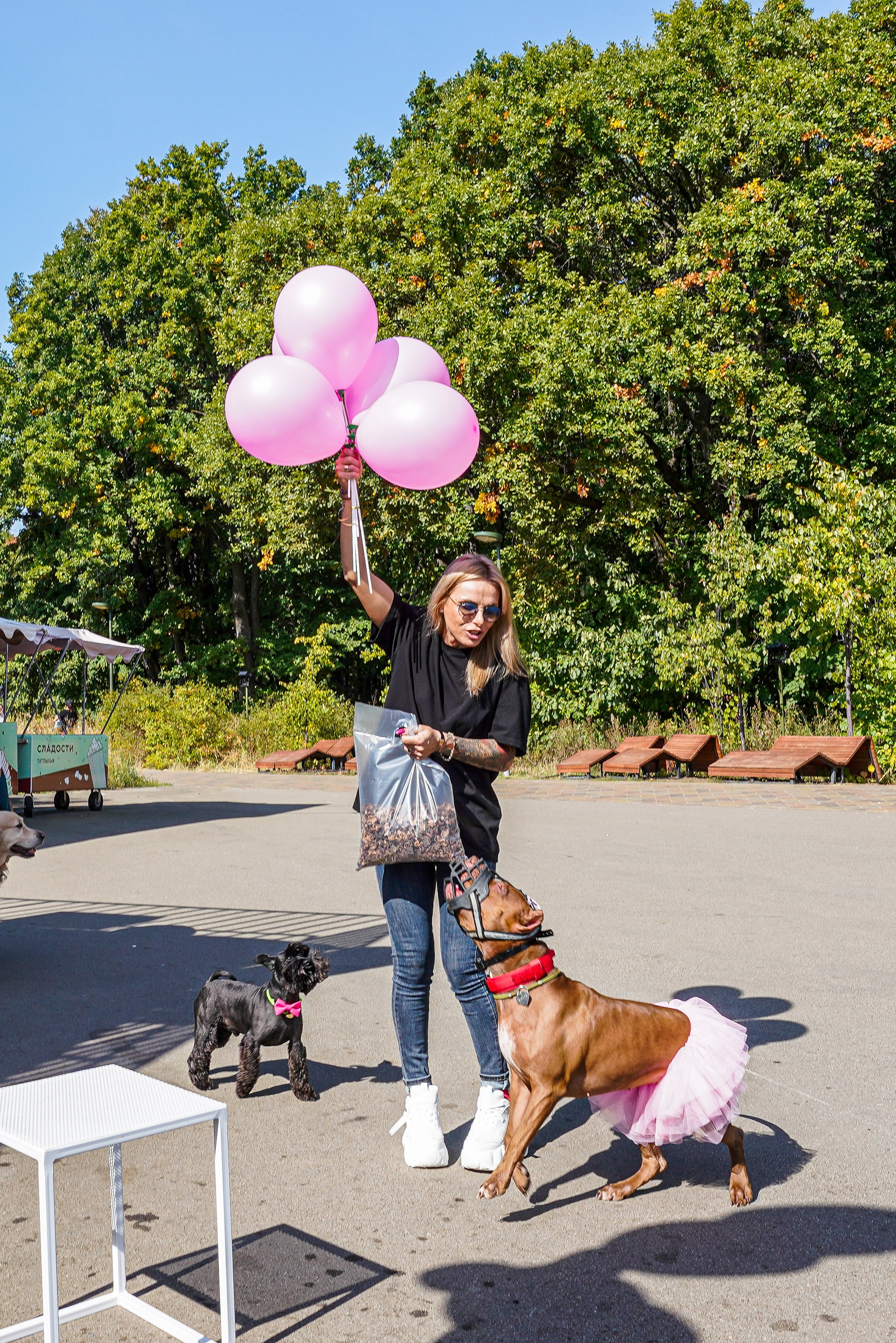ДР собаки по имени Моррис :). Фотограф Казань