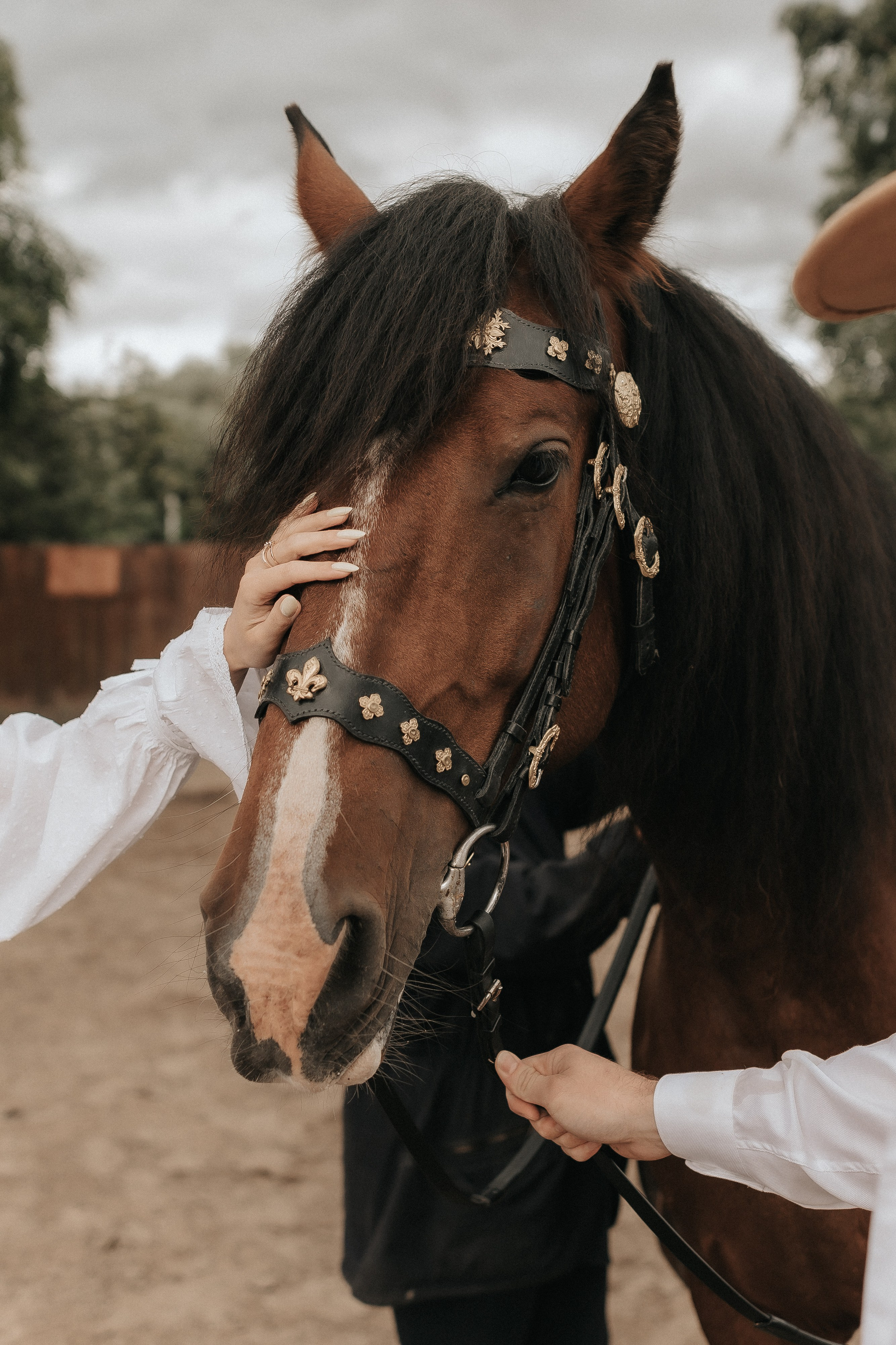 Love Story с лошадьми. Свадебный фотограф Пермь