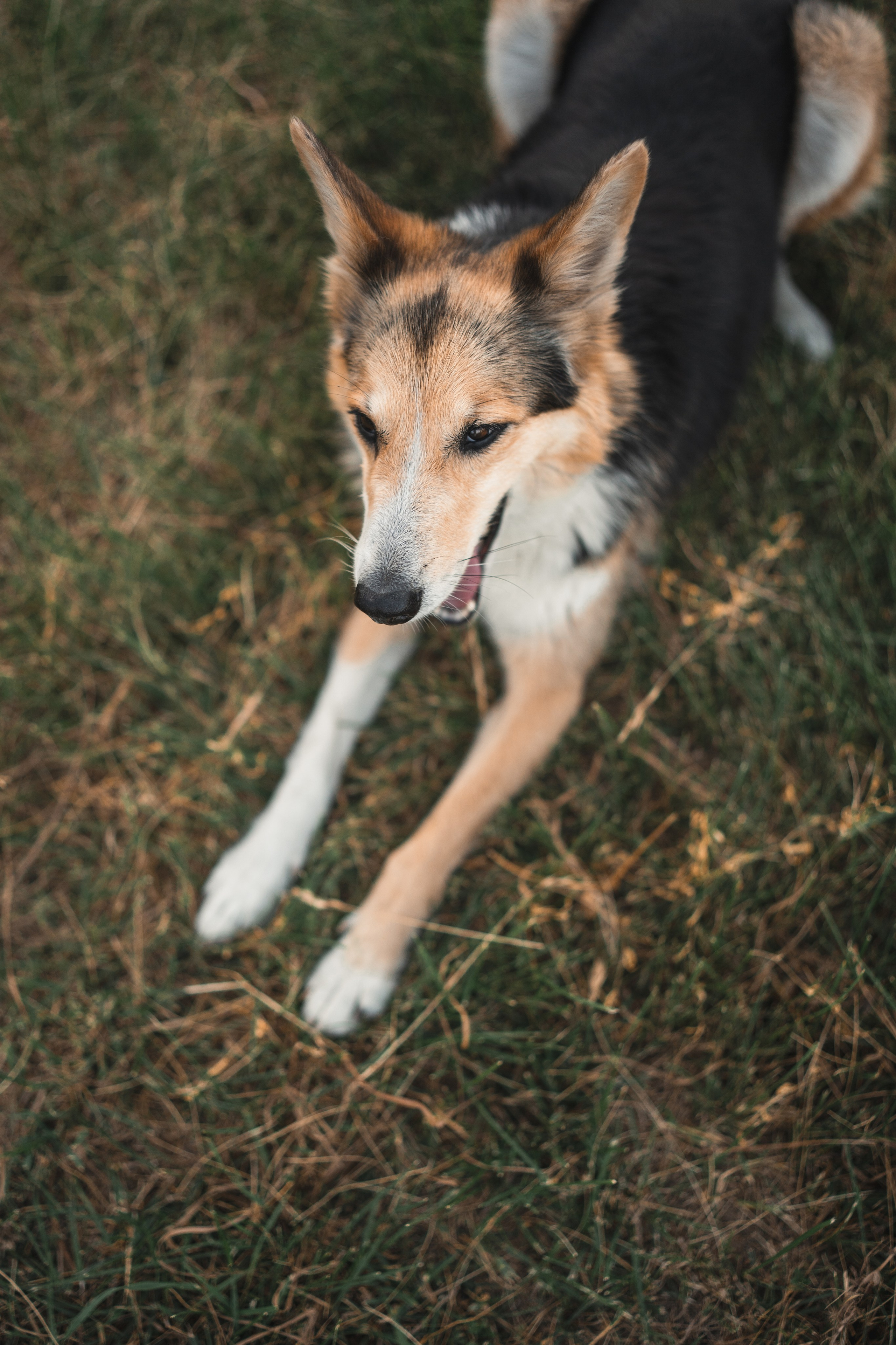 СЪЕМКА НА УЧАСТКЕ. Семья Юлии. Фотограф Марта Козел. Гродно, Беларусь