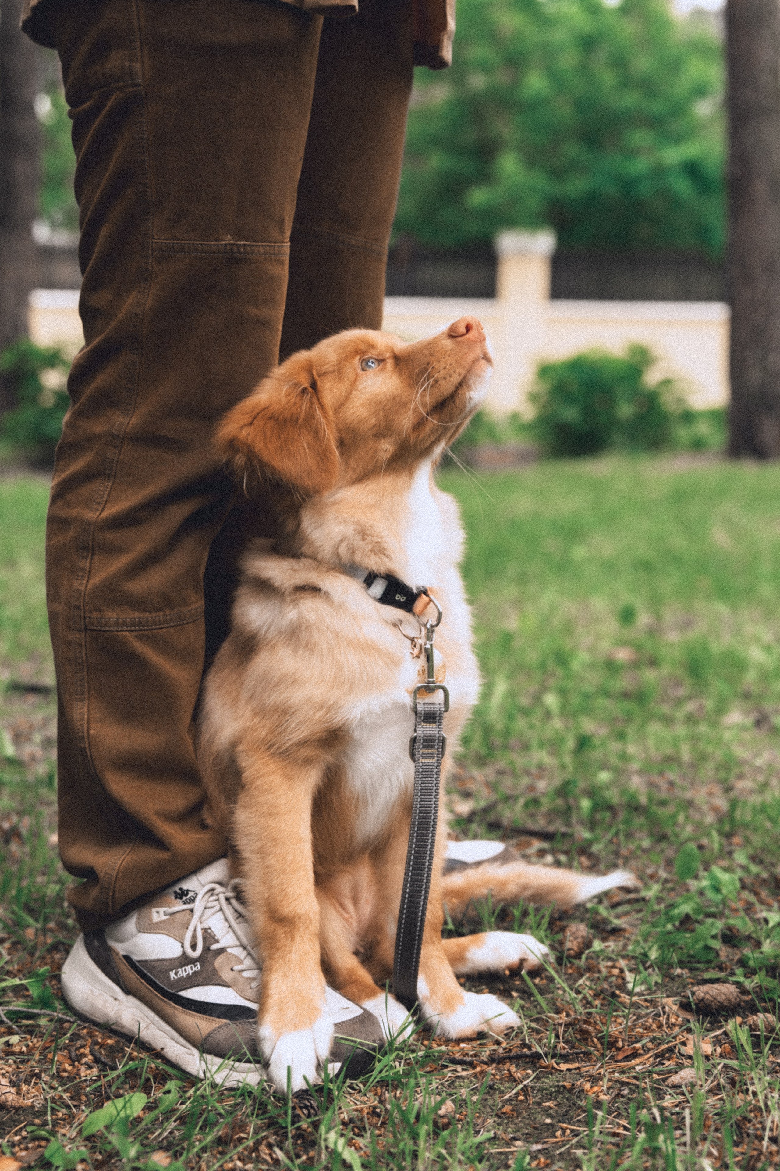 В ♡ А ✧ Айя — Любовь с рыжим хвостиком. Свадебный и портретный фотограф в Москве, Светлана Янковая