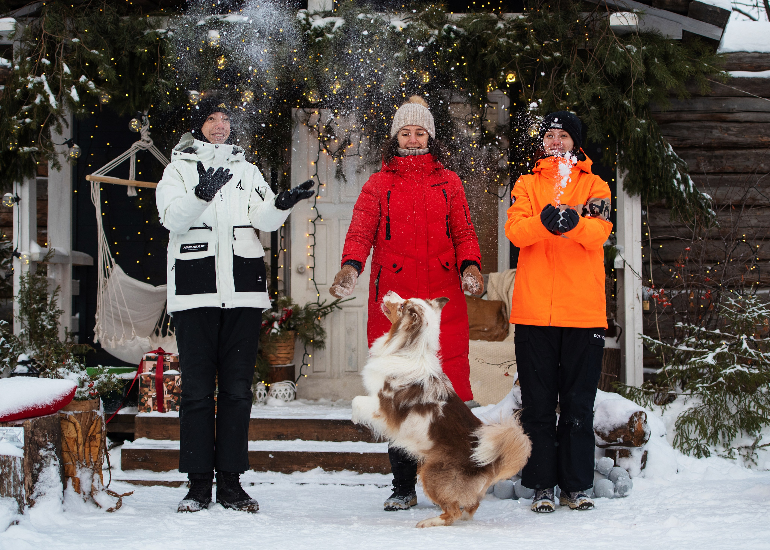 Аусси и его семья. Дог-фотограф в Тюмени Александра Королева