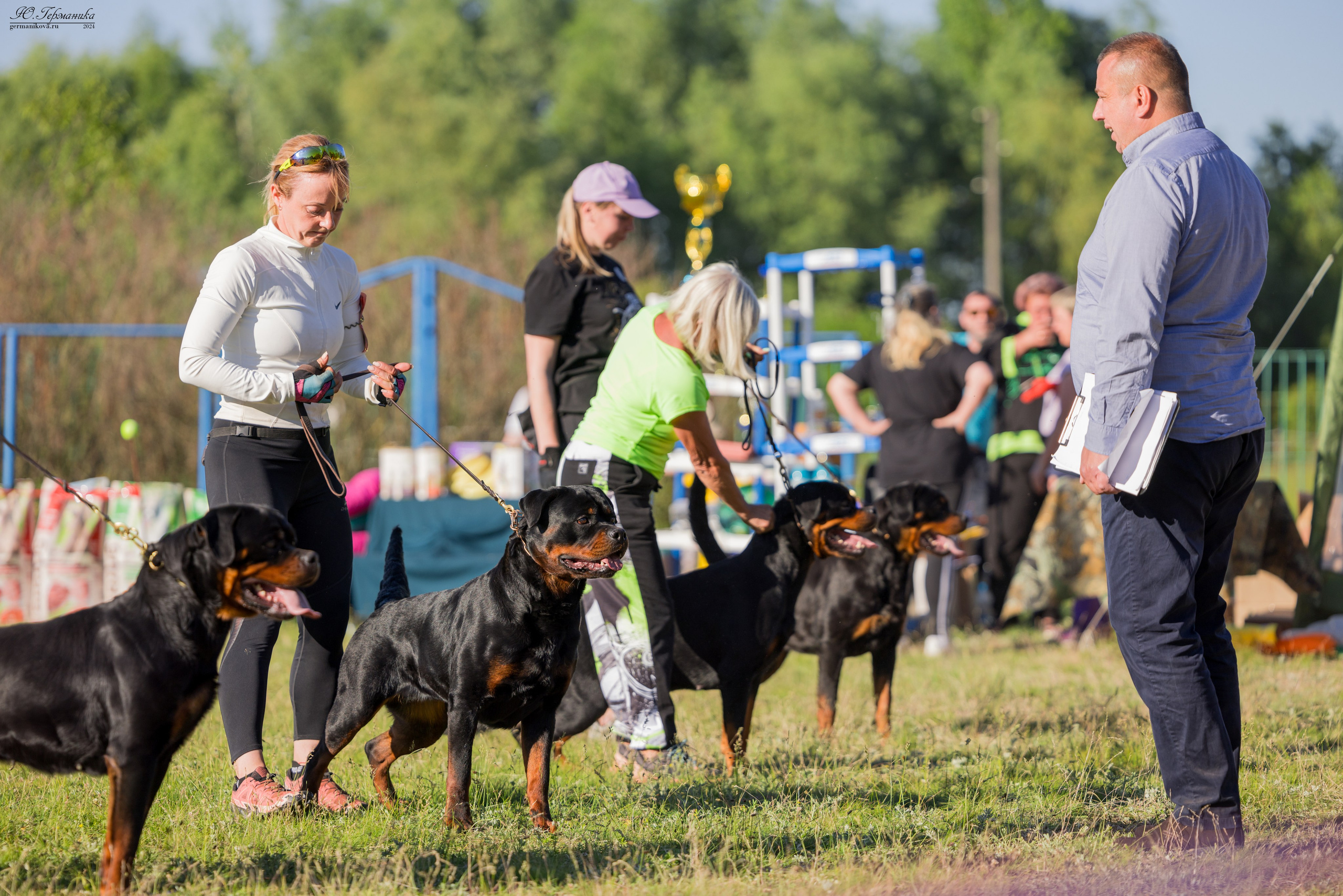 Воронеж моно ротвейлеров 25-26.05.2024. Фотограф-анималист Юлия Германика