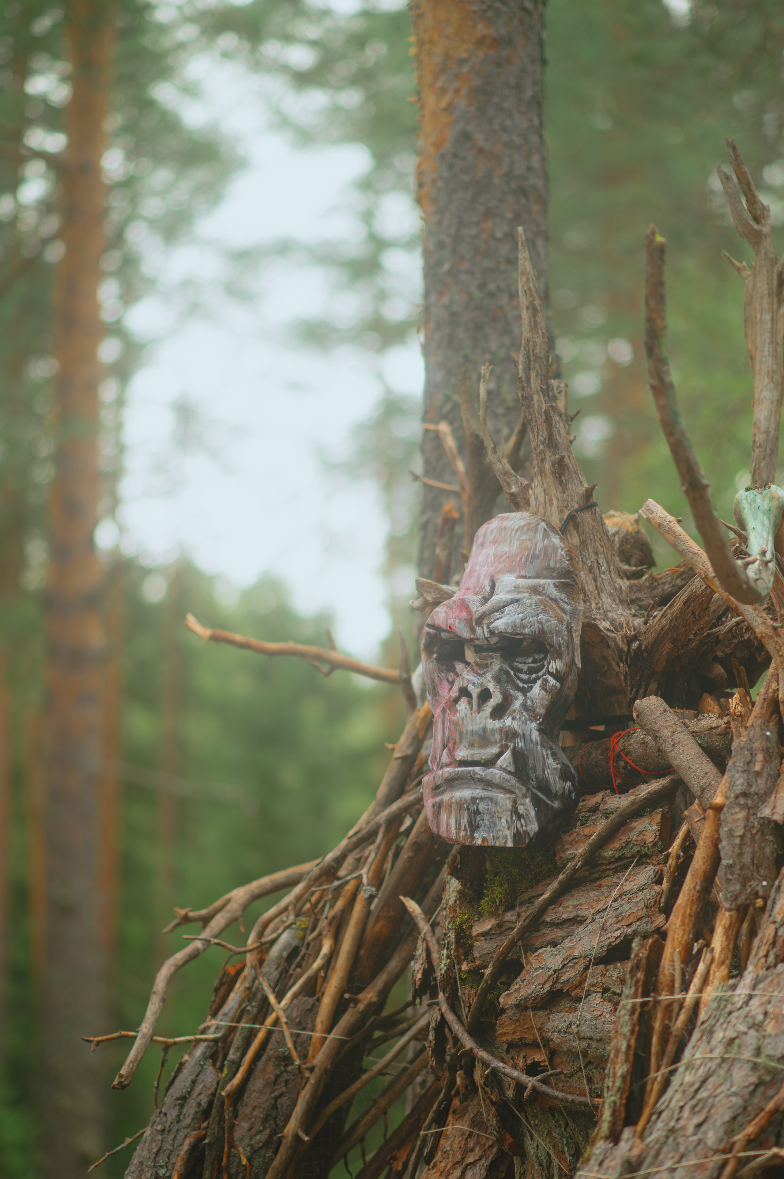 METADREAMS 2025. Контент фотограф Илья Урс