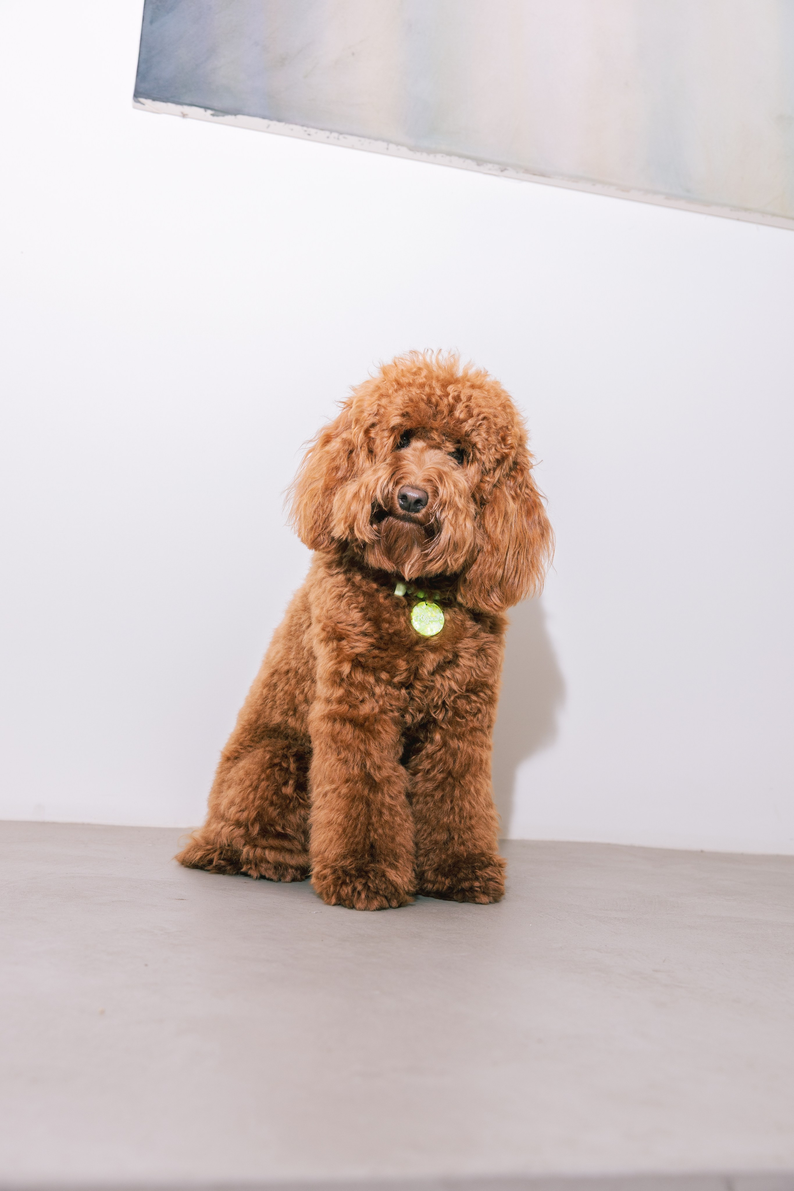 ПЕРВОЕ ОНЕЙРИЧЕСКОЕ УРАВНЕНИЕ. Портретный и ивент-фотограф в Москве