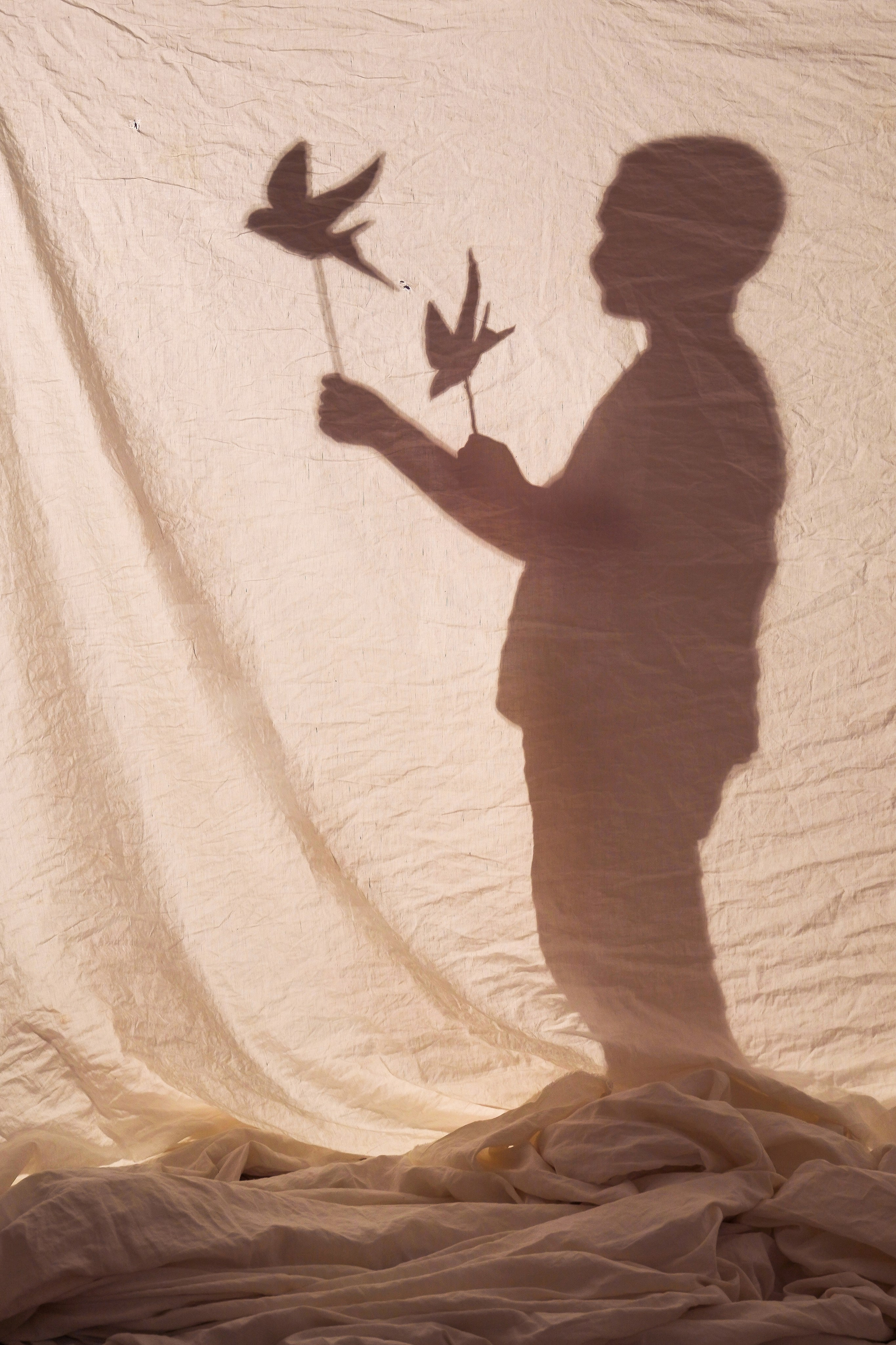 Фотопроект тень. Детский, семейный фотограф: newborn, беременность, годовасие, репортаж. Москва