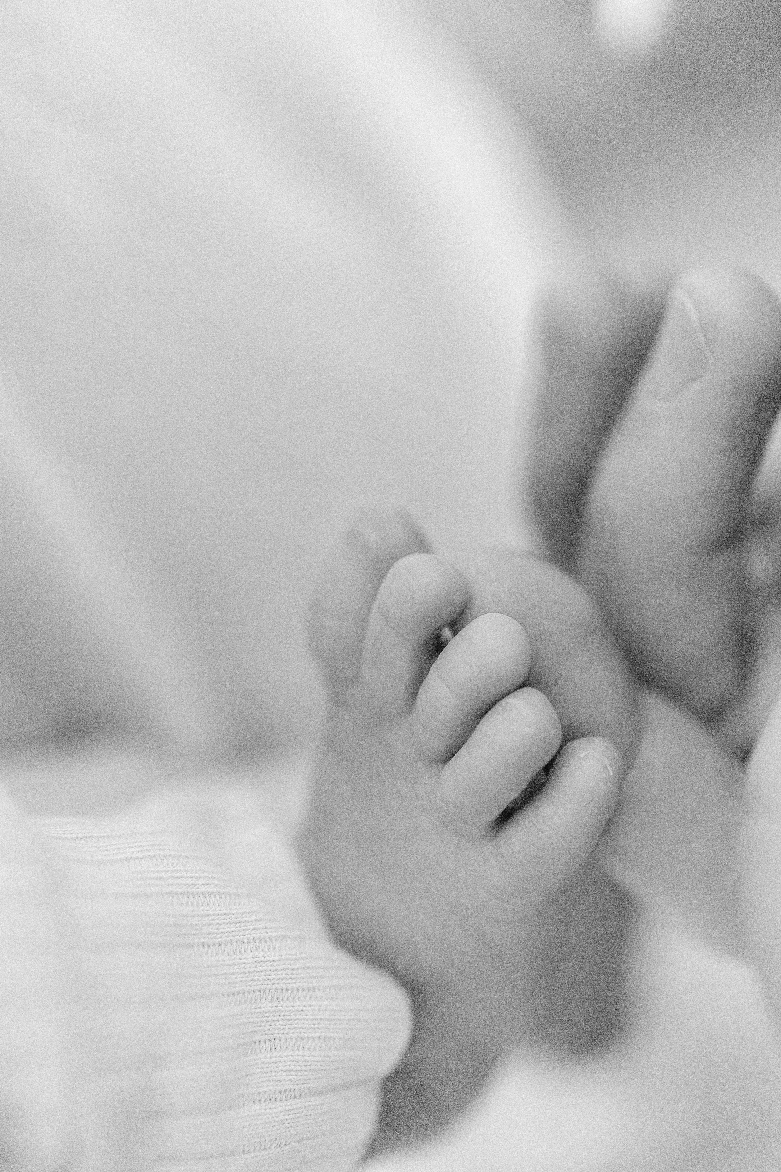 Фотосессия у вас дома. Главная