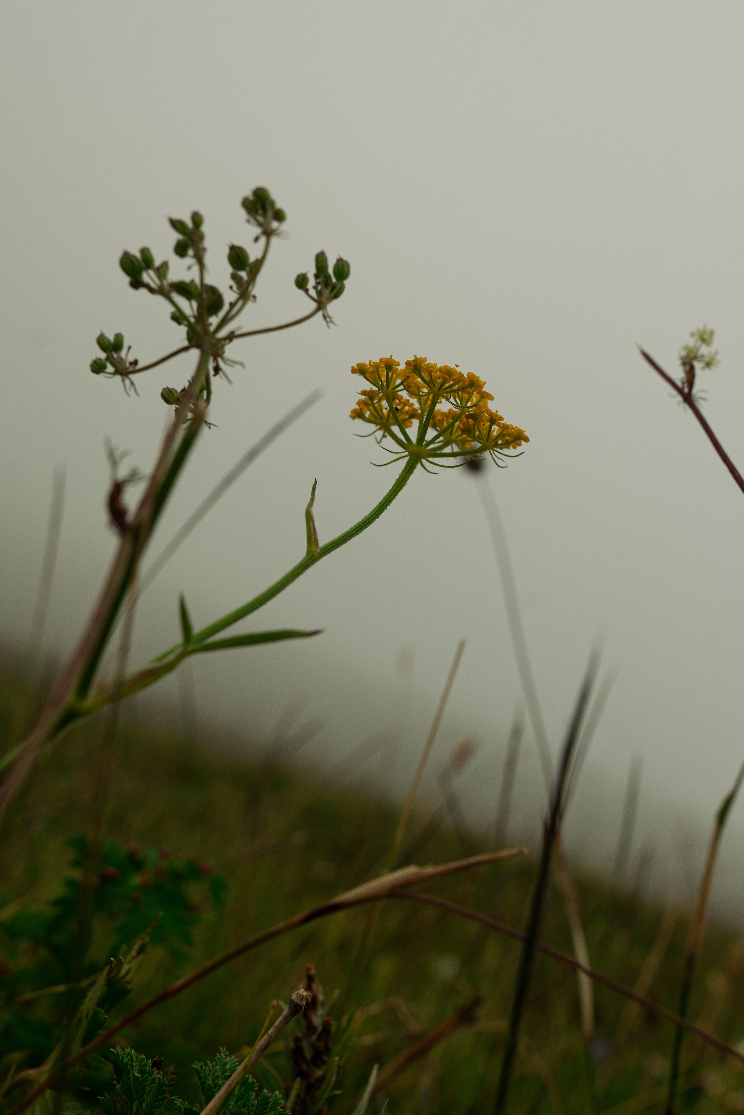 Милость гор. Портфолио фотографа Анастасии Блохиной