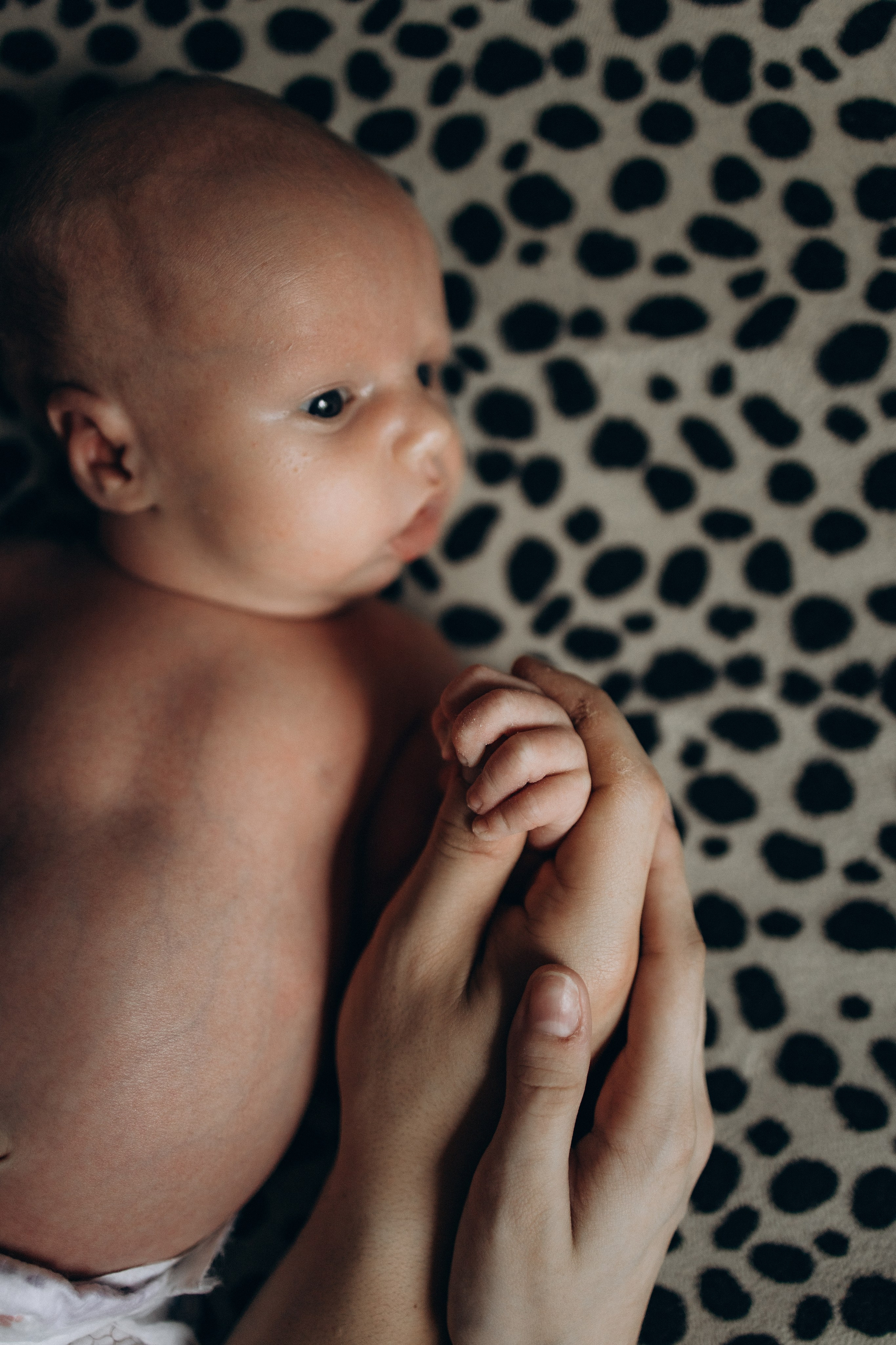 Теперь нас трое. Семейный фотограф Донецк