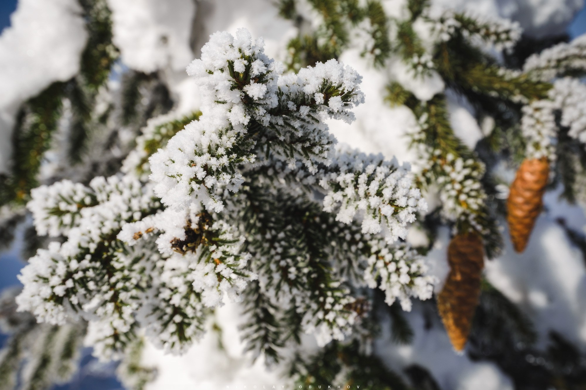 Фото горы Белая (Нижний Тагил) | Фотограф Николай Обухов